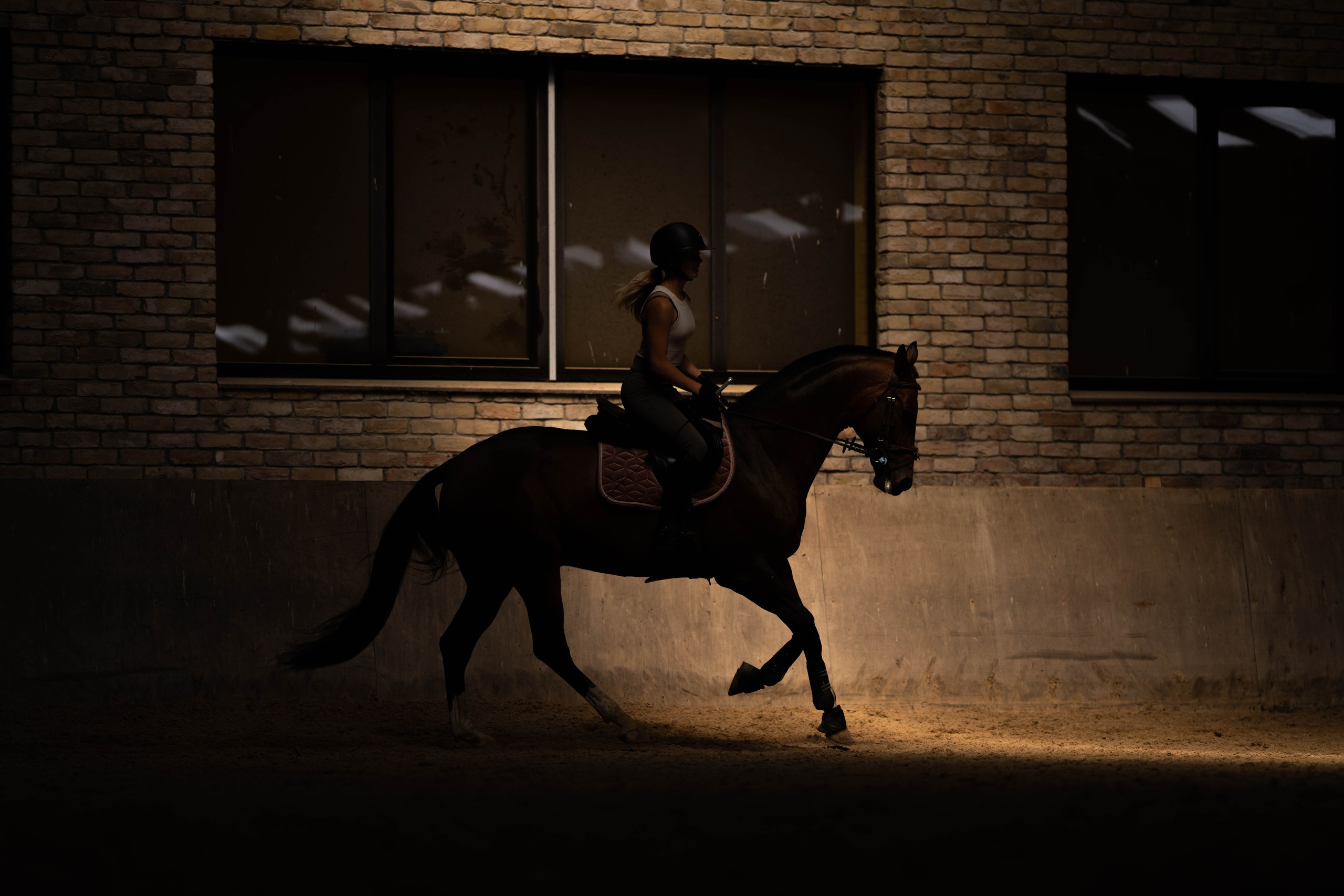 Equestrian sports. Sports and portrait photographer in Riga