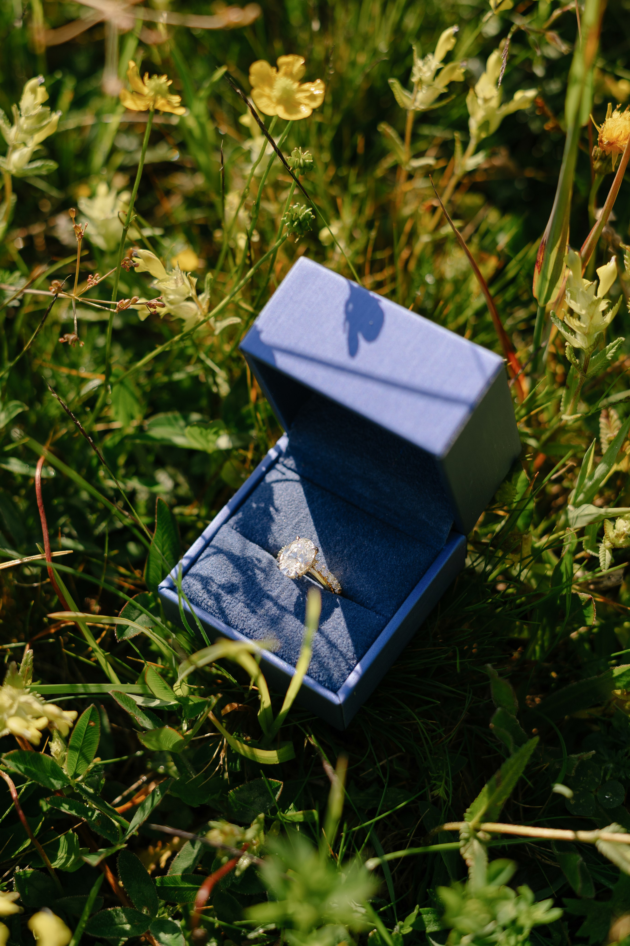 S & S (Alpe di Siusi, Dolomites, Italy). Marriage Proposal Photographer in Verona, Lake Garda and Dolomites| Diana Fedrigo