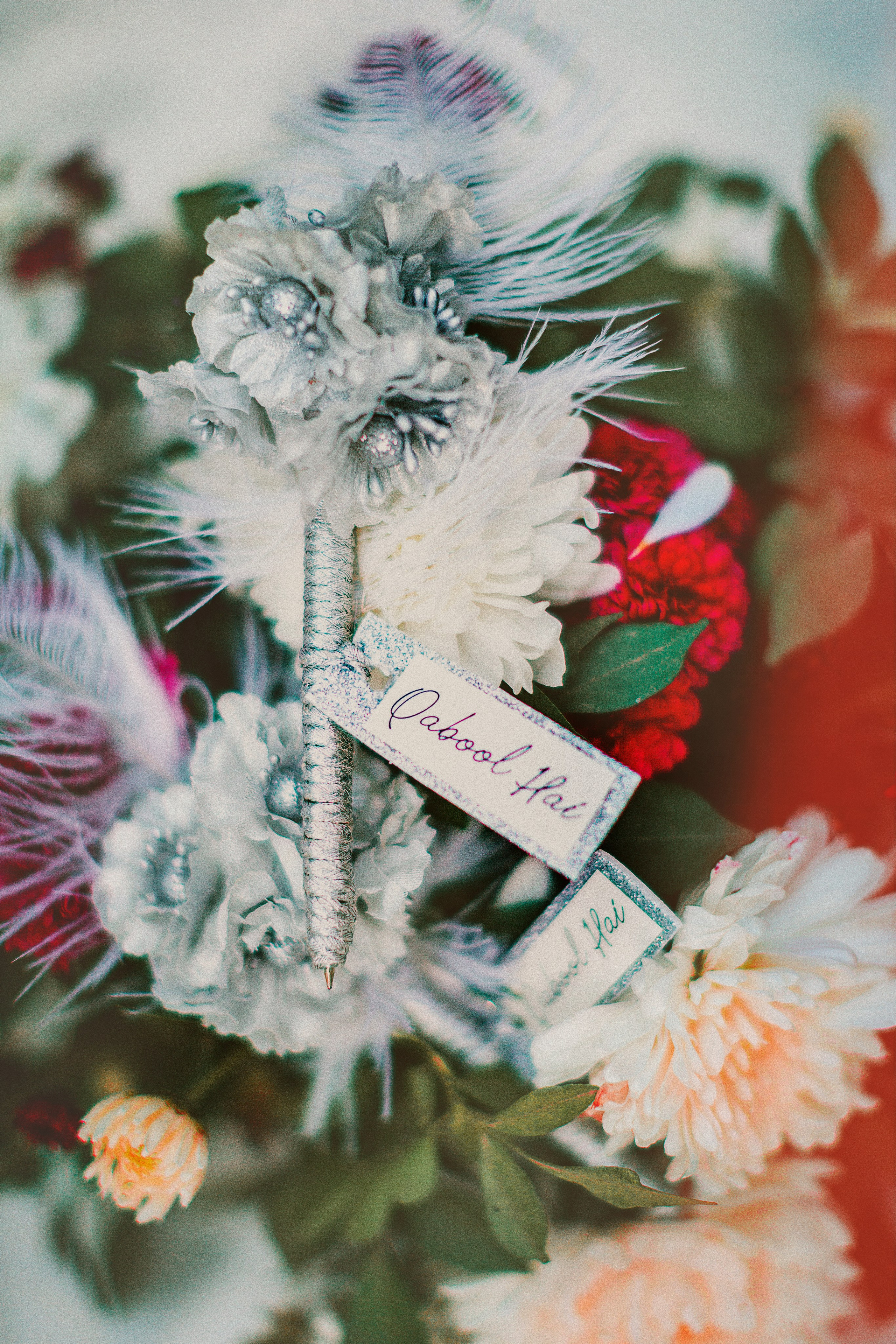 Portfolio. Chaar Bhai — Your Personal Family Historians