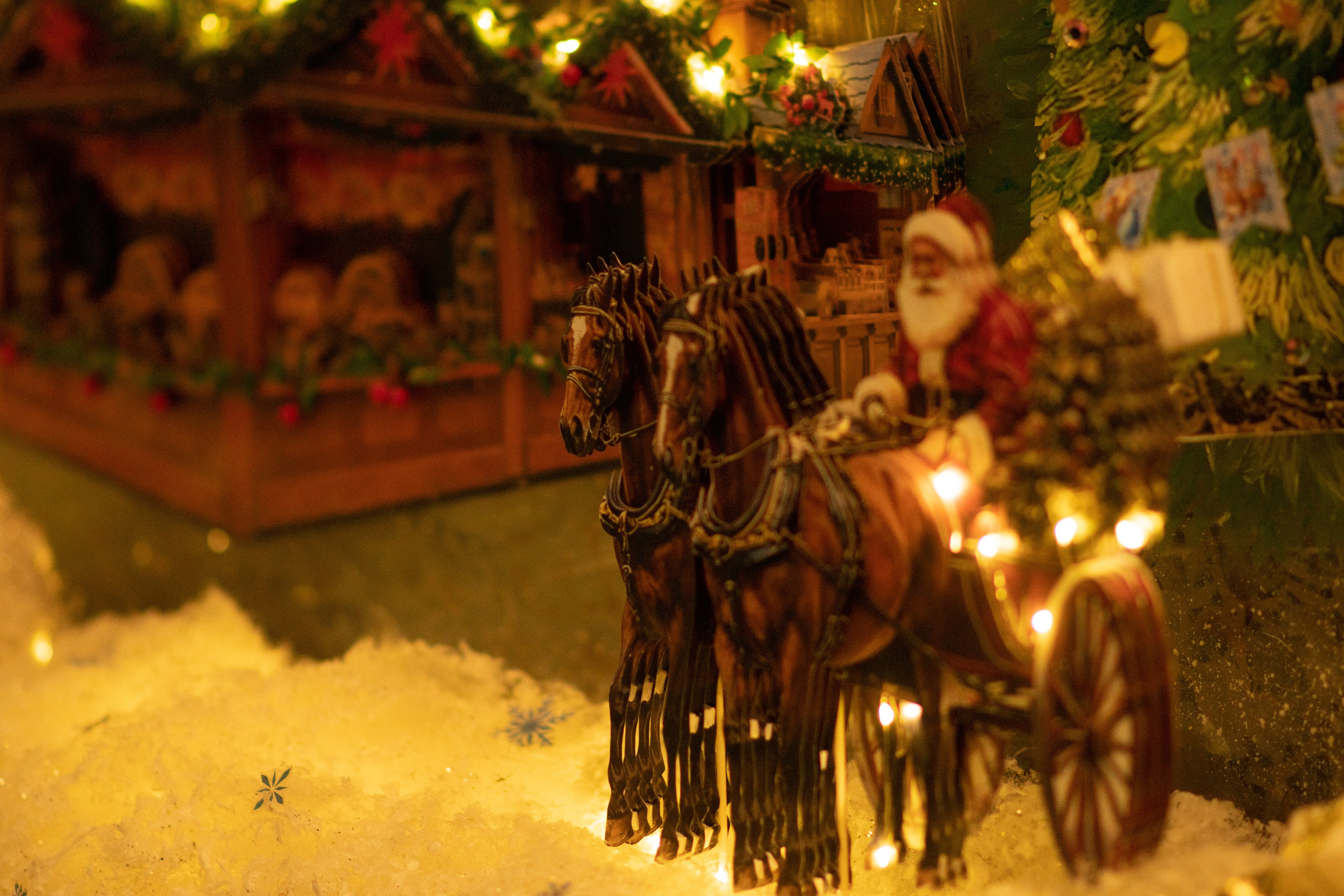 Проект. Семейный и детский фотограф