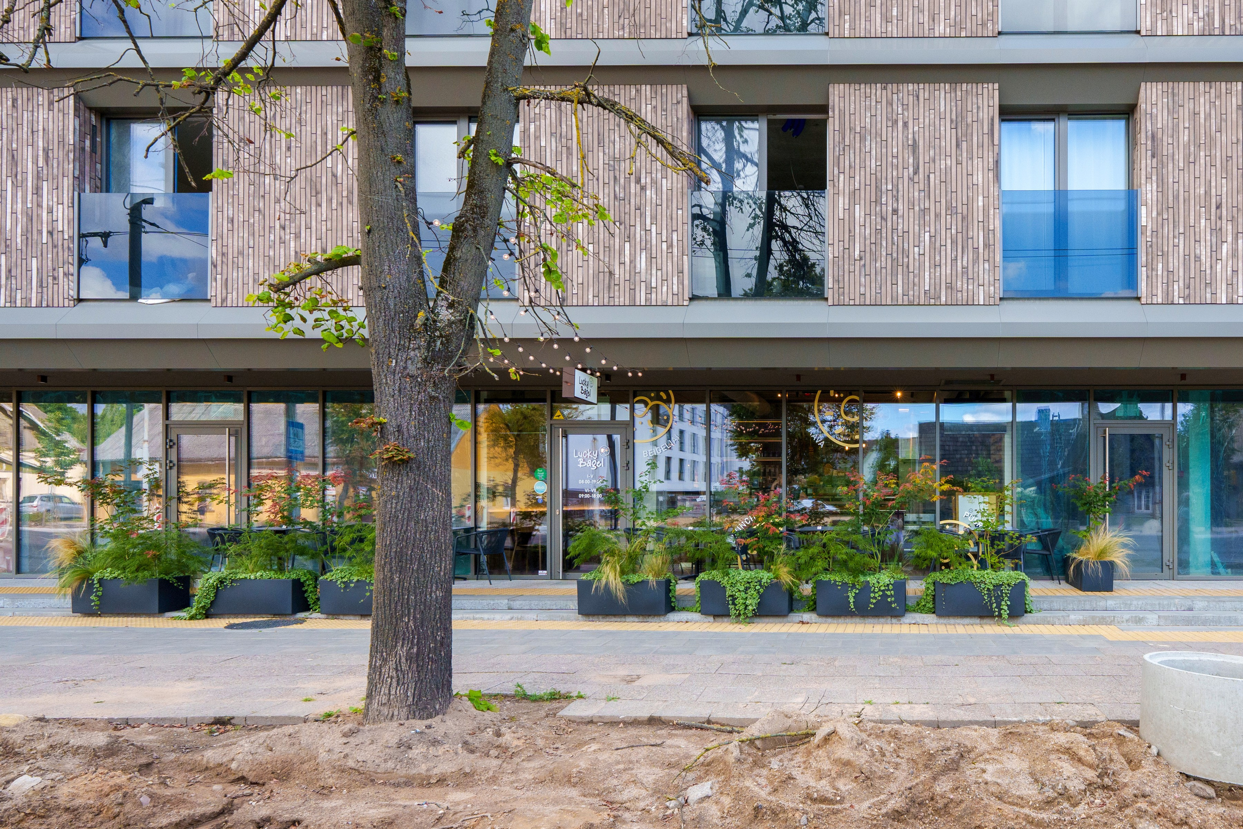 Kalvarijų g. 55. Elina Sapiega fotografė Vilniuje