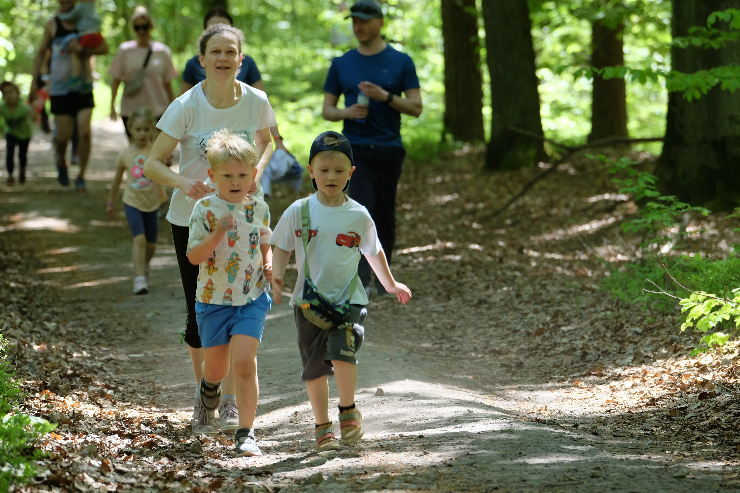 Aleksandryjska Piątka po lesie. Main