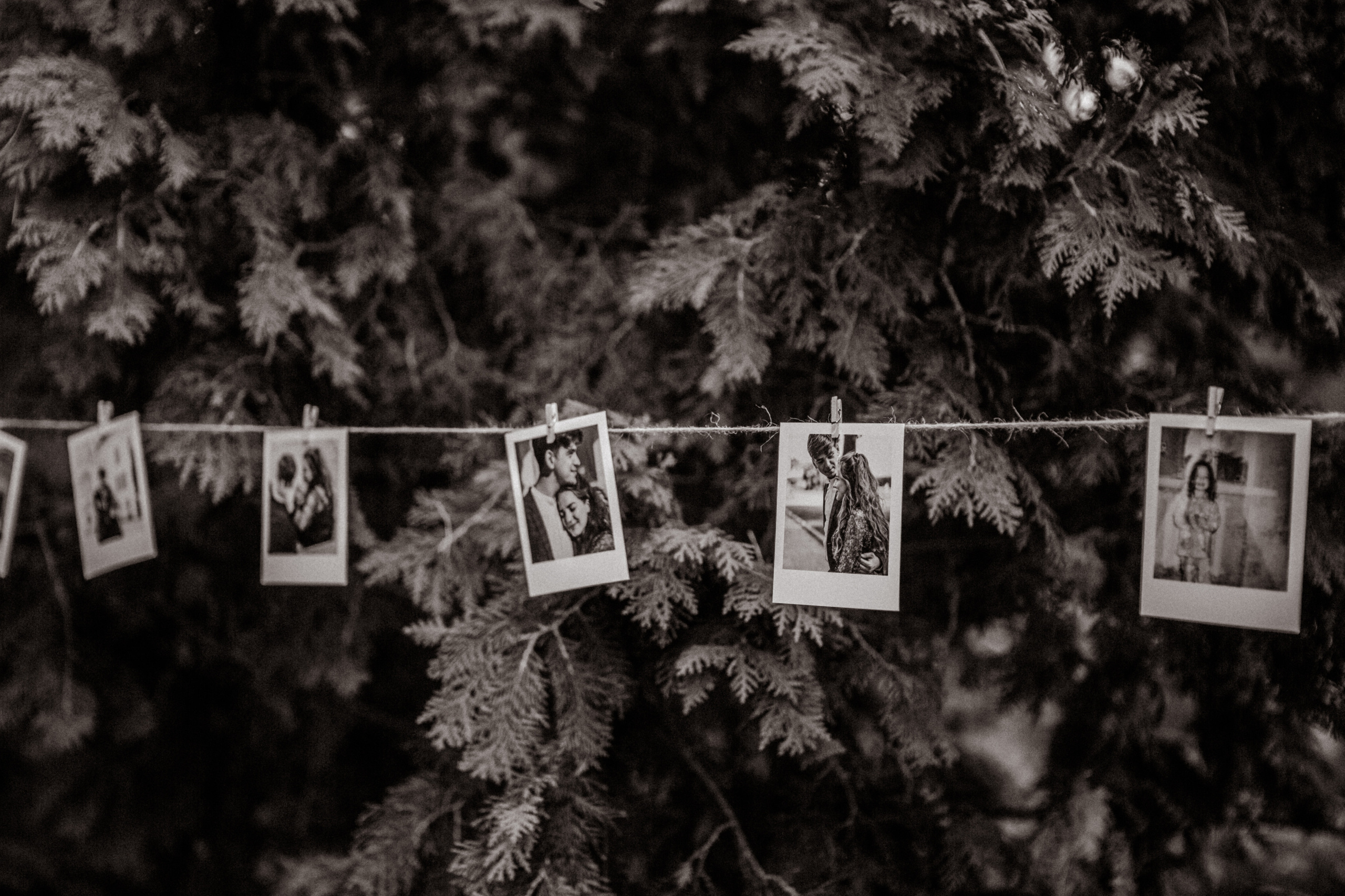 Album 5. Fotograf Warszawa, Fotograf ślubny, Фотограф свадебный Варшава