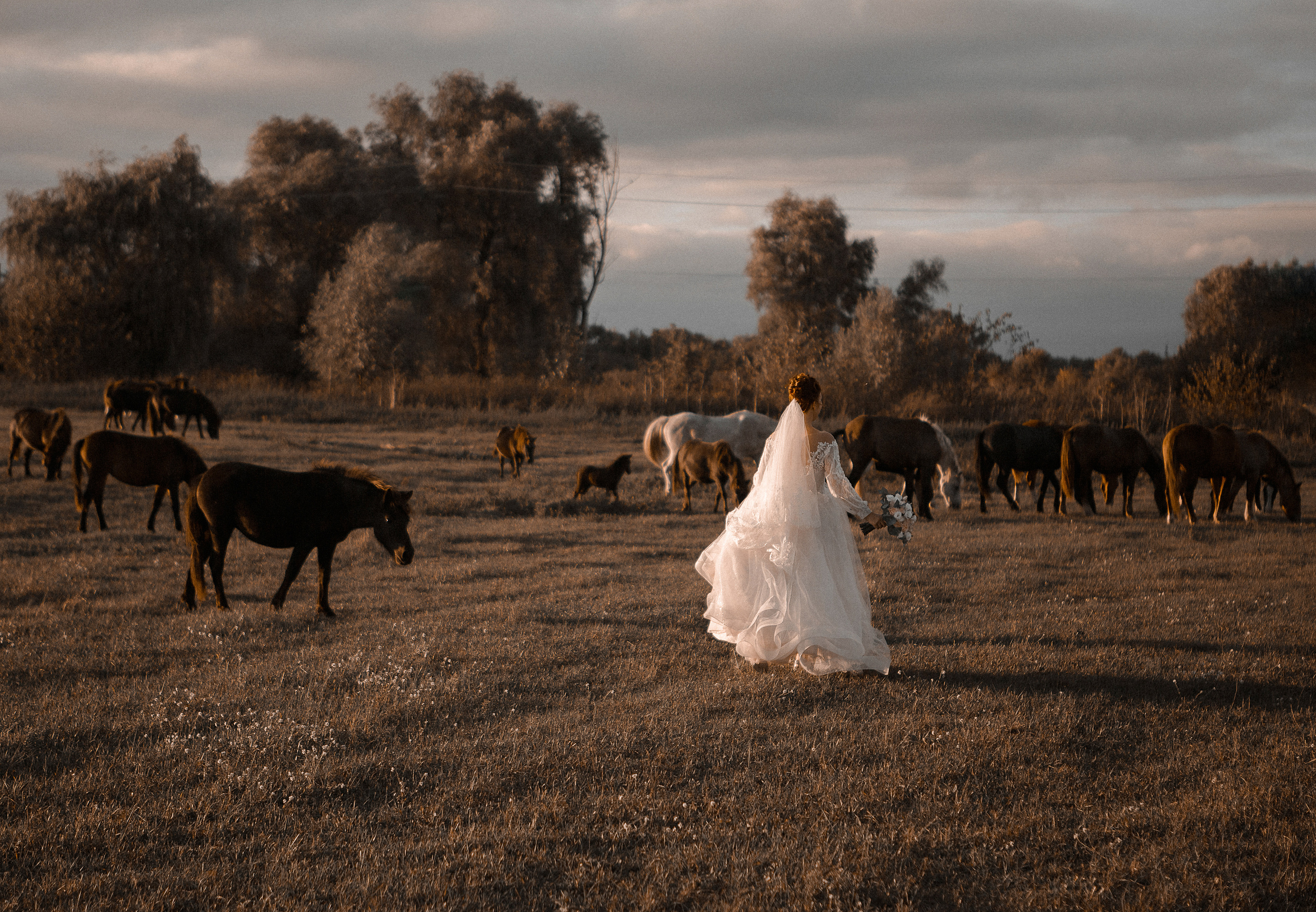17/09 Sunny mood. Fotograf Warszawa, Fotograf ślubny, Фотограф свадебный Варшава