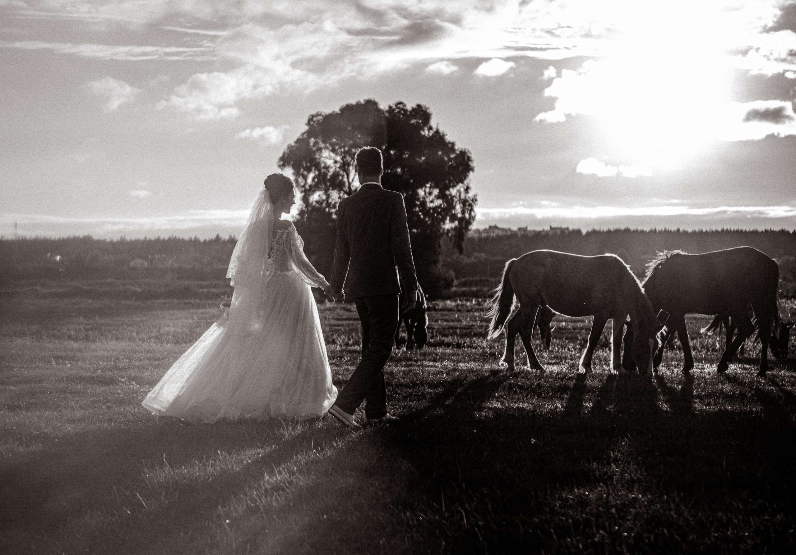 17/09 Sunny mood. Fotograf Warszawa, Fotograf ślubny, Фотограф свадебный Варшава