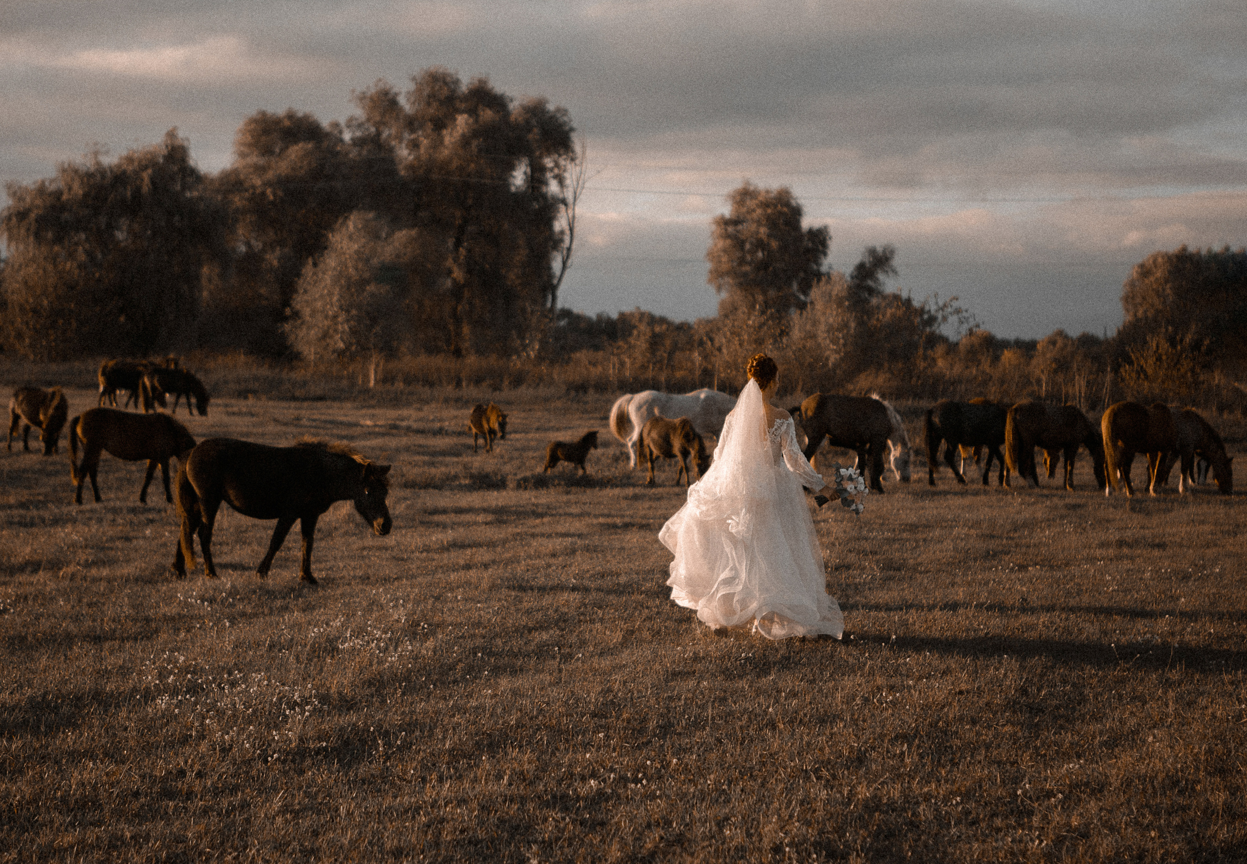 Fotograf Warszawa, Fotograf ślubny, Фотограф свадебный Варшава