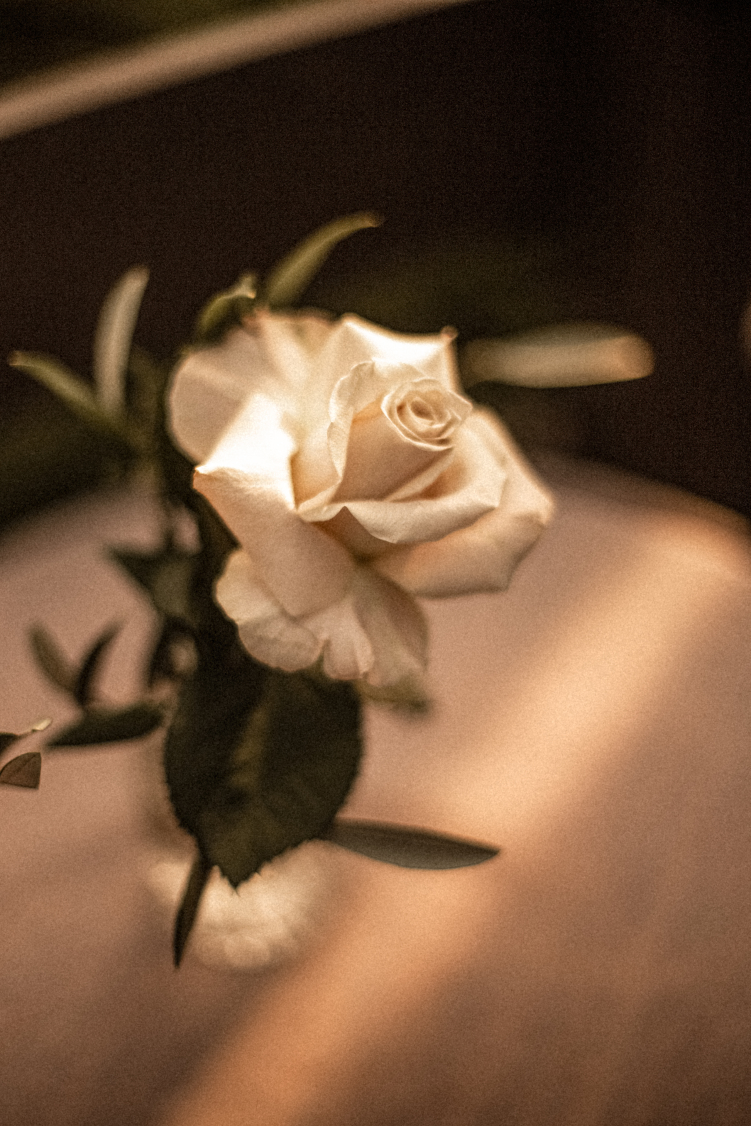 21/08. Fotograf Warszawa, Fotograf ślubny, Фотограф свадебный Варшава