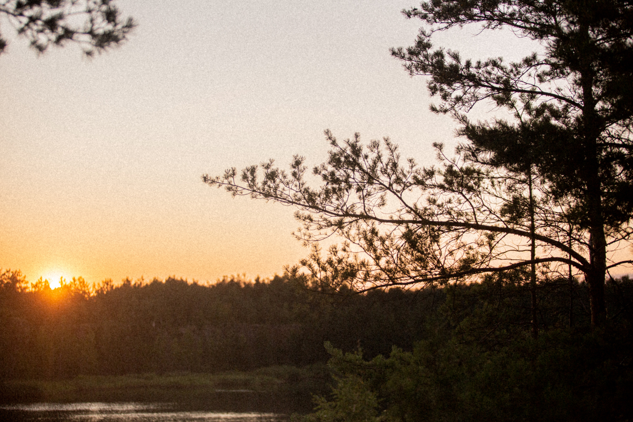 21/08. Fotograf Warszawa, Fotograf ślubny, Фотограф свадебный Варшава