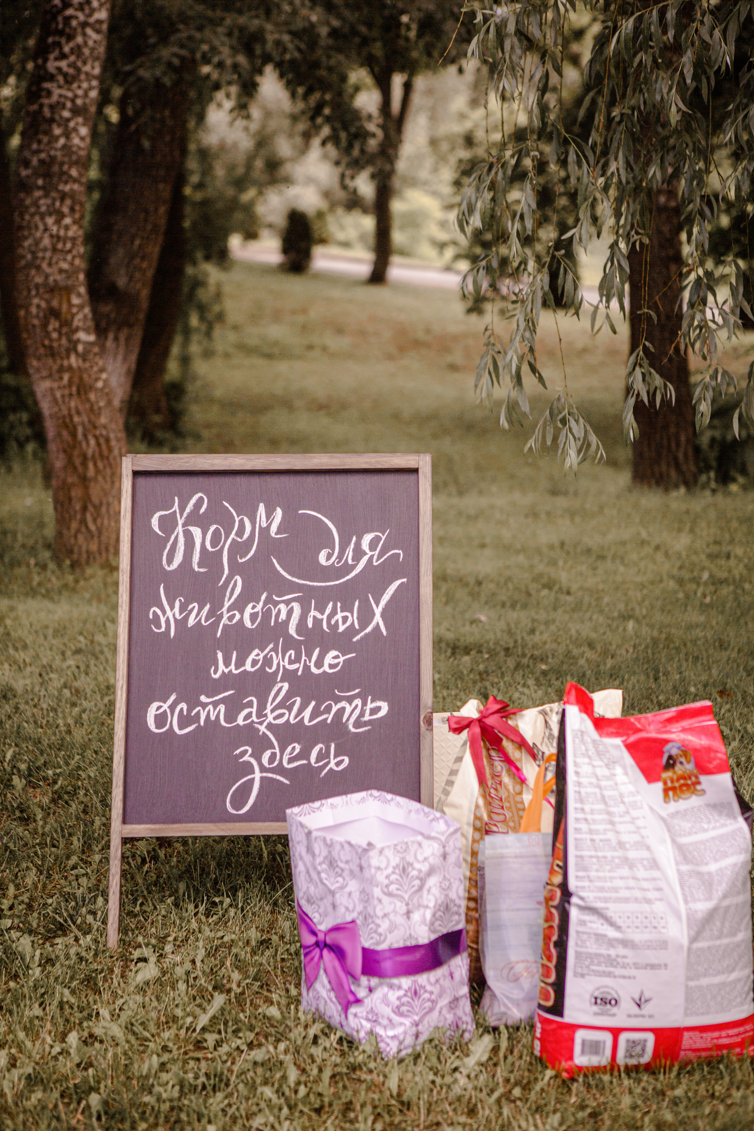 А&К. Fotograf Warszawa, Fotograf ślubny, Фотограф свадебный Варшава