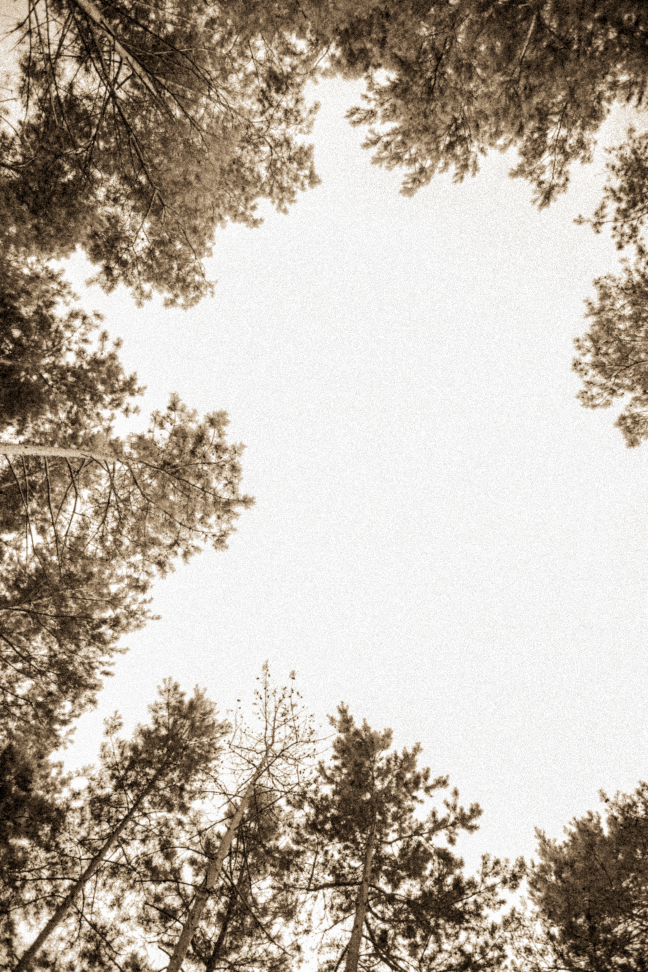 Album 5. Fotograf Warszawa, Fotograf ślubny, Фотограф свадебный Варшава