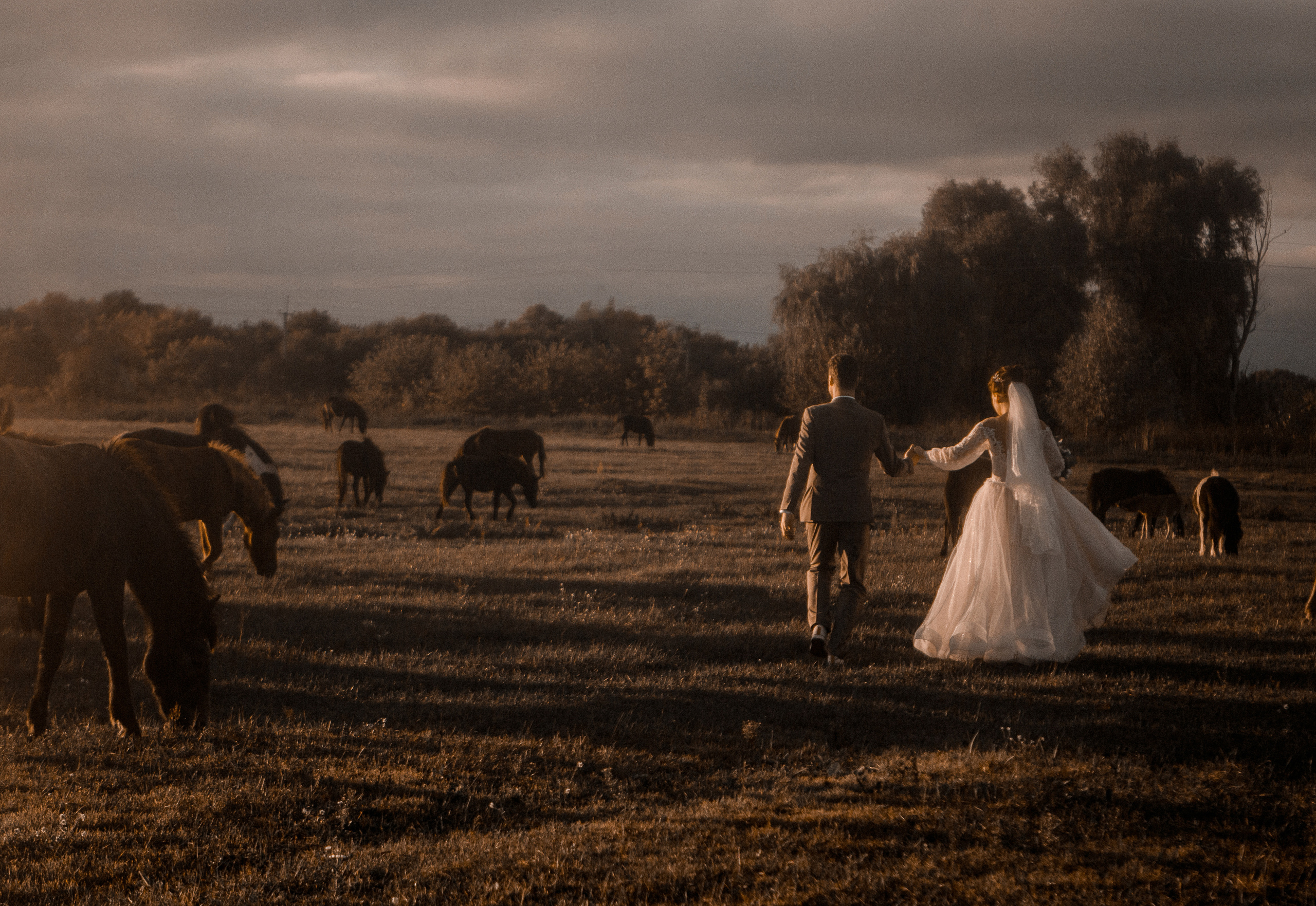 17/09 Sunny mood. Fotograf Warszawa, Fotograf ślubny, Фотограф свадебный Варшава