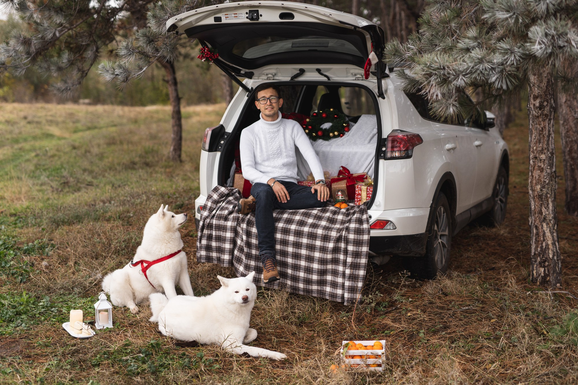 Lime hub. Fotograf in Bulgarien Katerina Zubkova