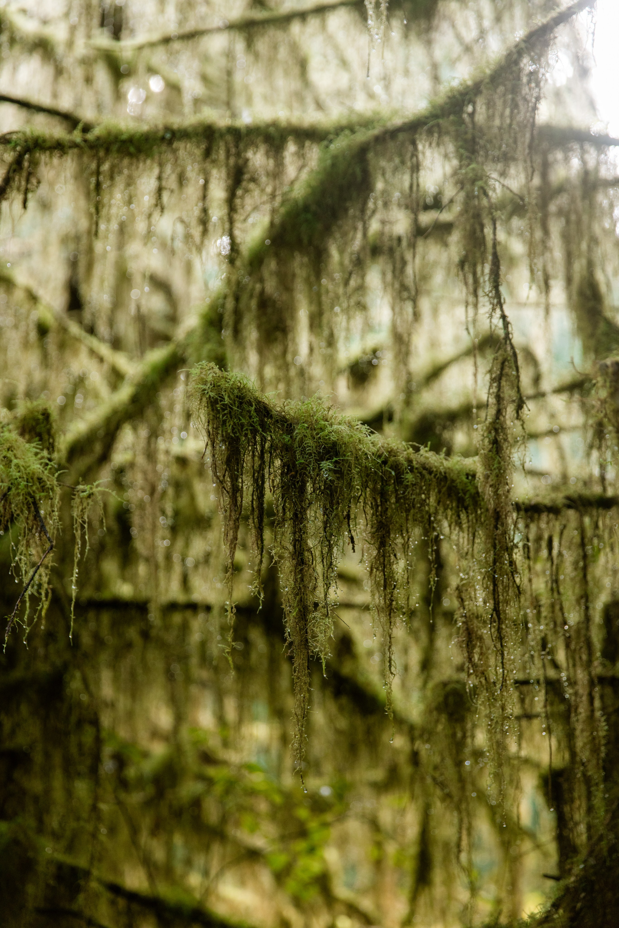 Twilight | Wallpapers. Photographer in Los Angeles. Julia Ishmuratova