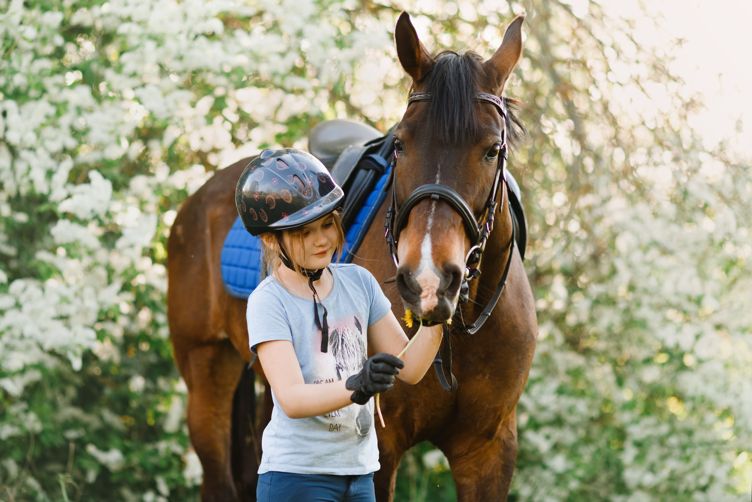 Girls & horses, summer. Kaja | fotograf psów we Wrocławiu