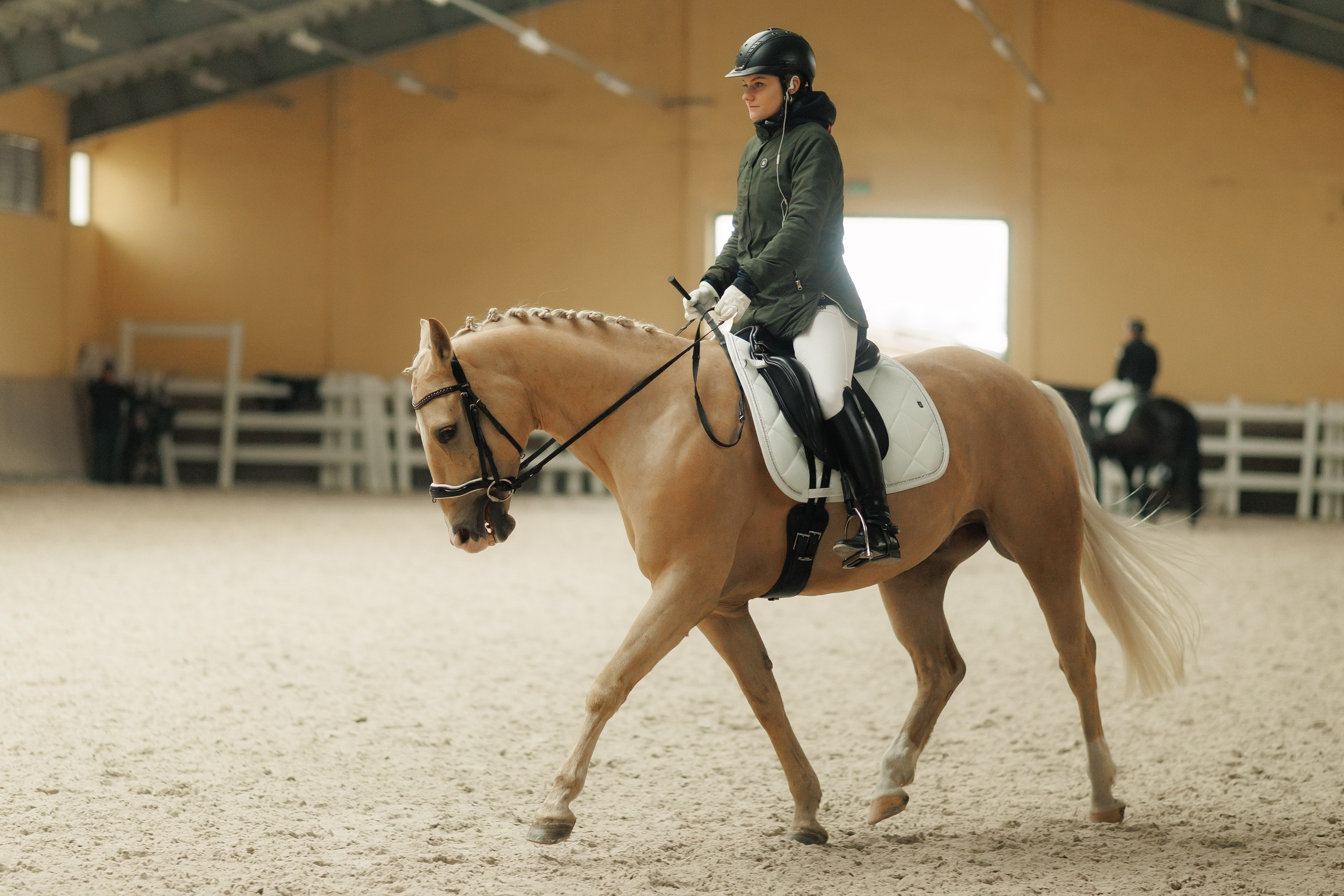 Fotografia koni Wrocław \ ujeżdżenie, Partynice. Kaja | fotograf we Wrocławiu | ludzie i psy