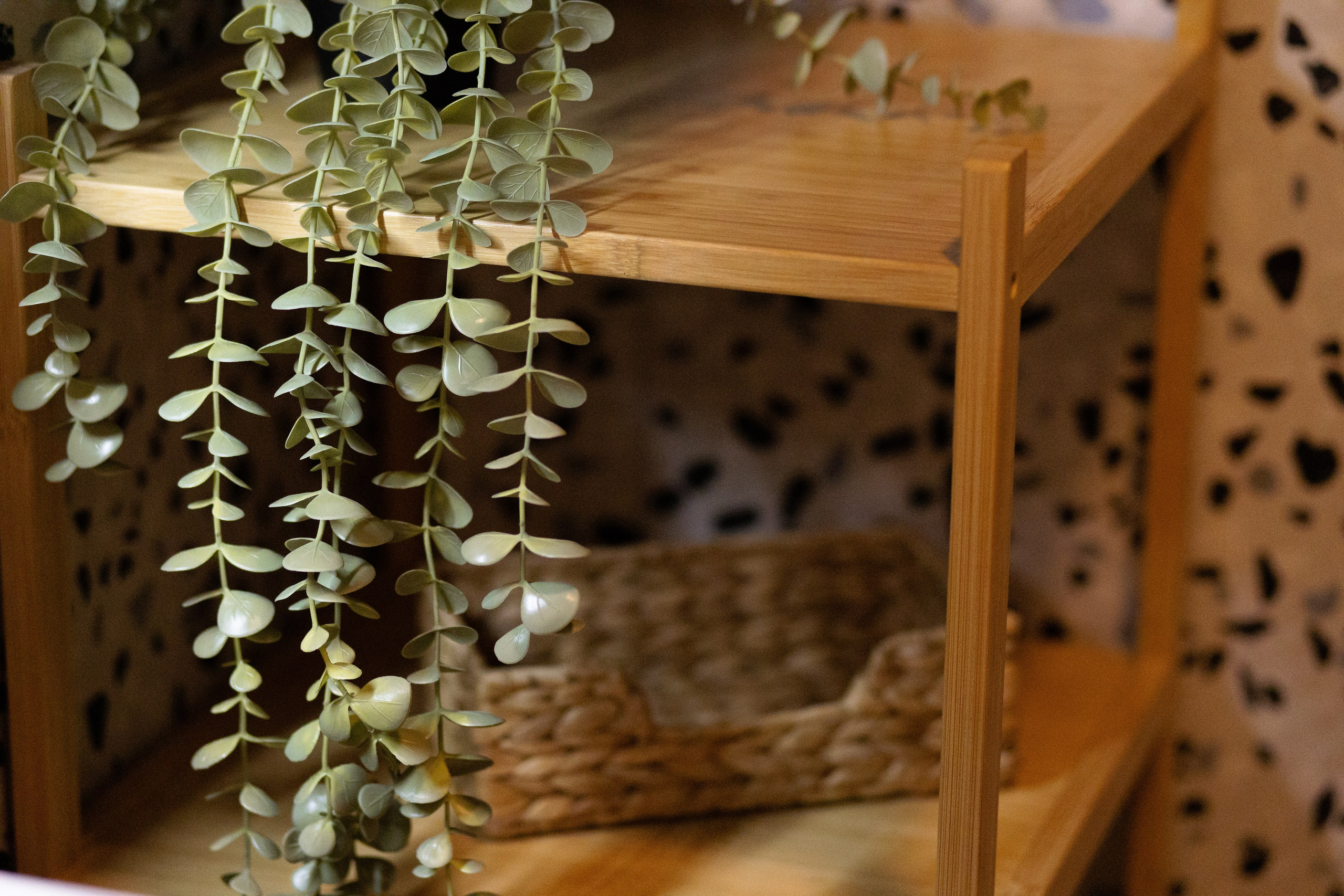 Apartament Upstairs 4