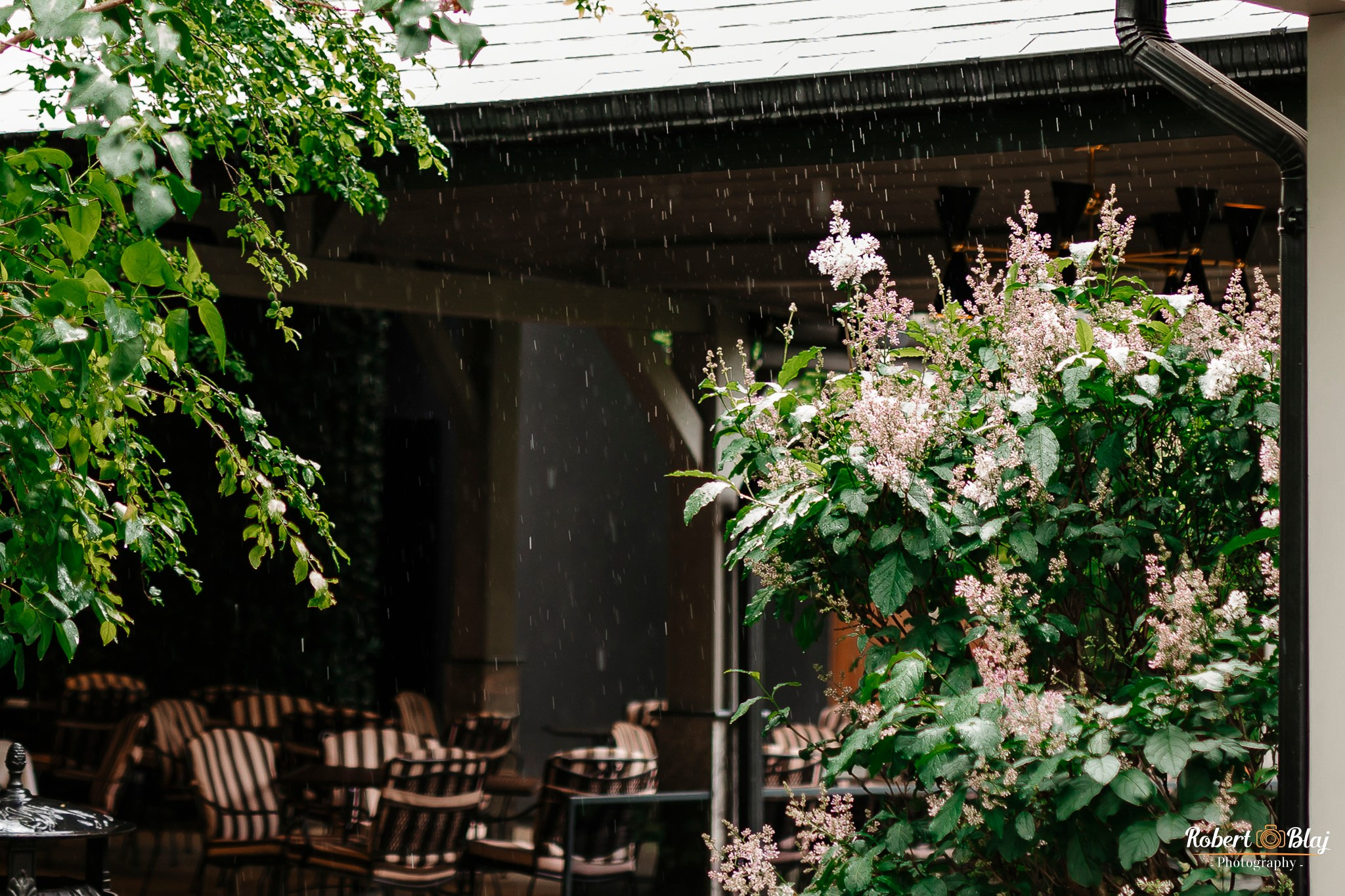 Flavia Paraschieva. Robert Blaj - Fotograf Nuntă Iași