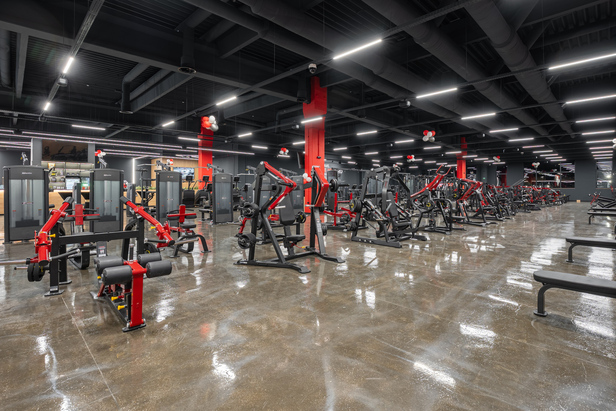 WEST GYM PARK MAXX. Професионален фотограф в Пловдив и областта