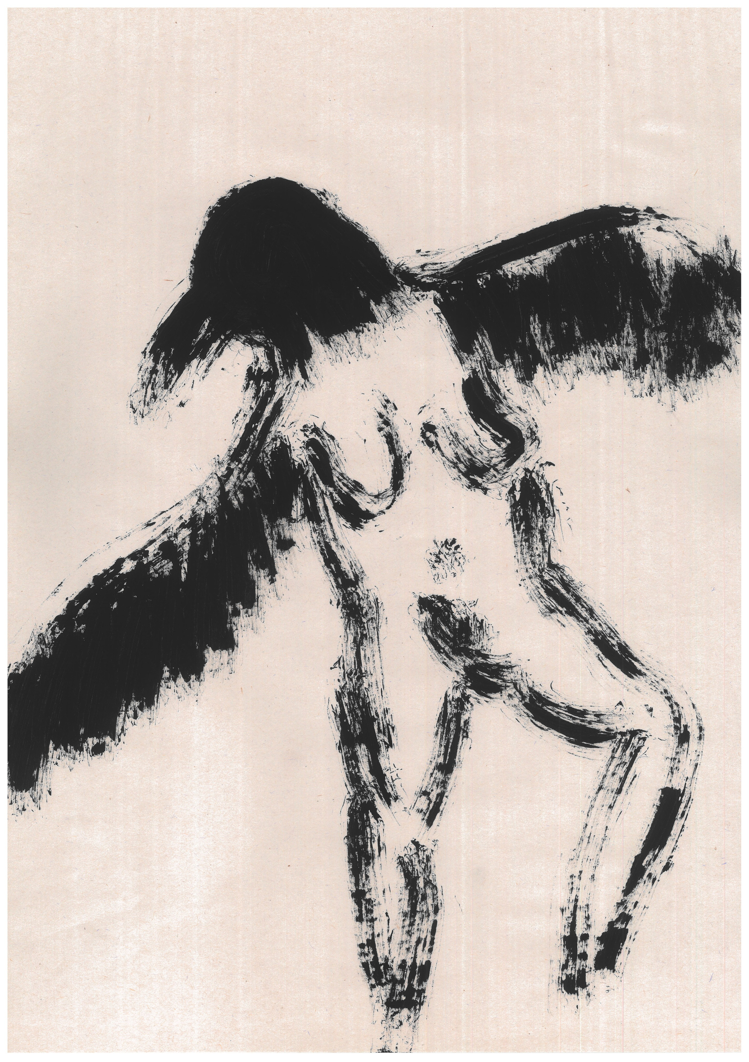 Dancing bird 2022. Haim Sokol’s artists website