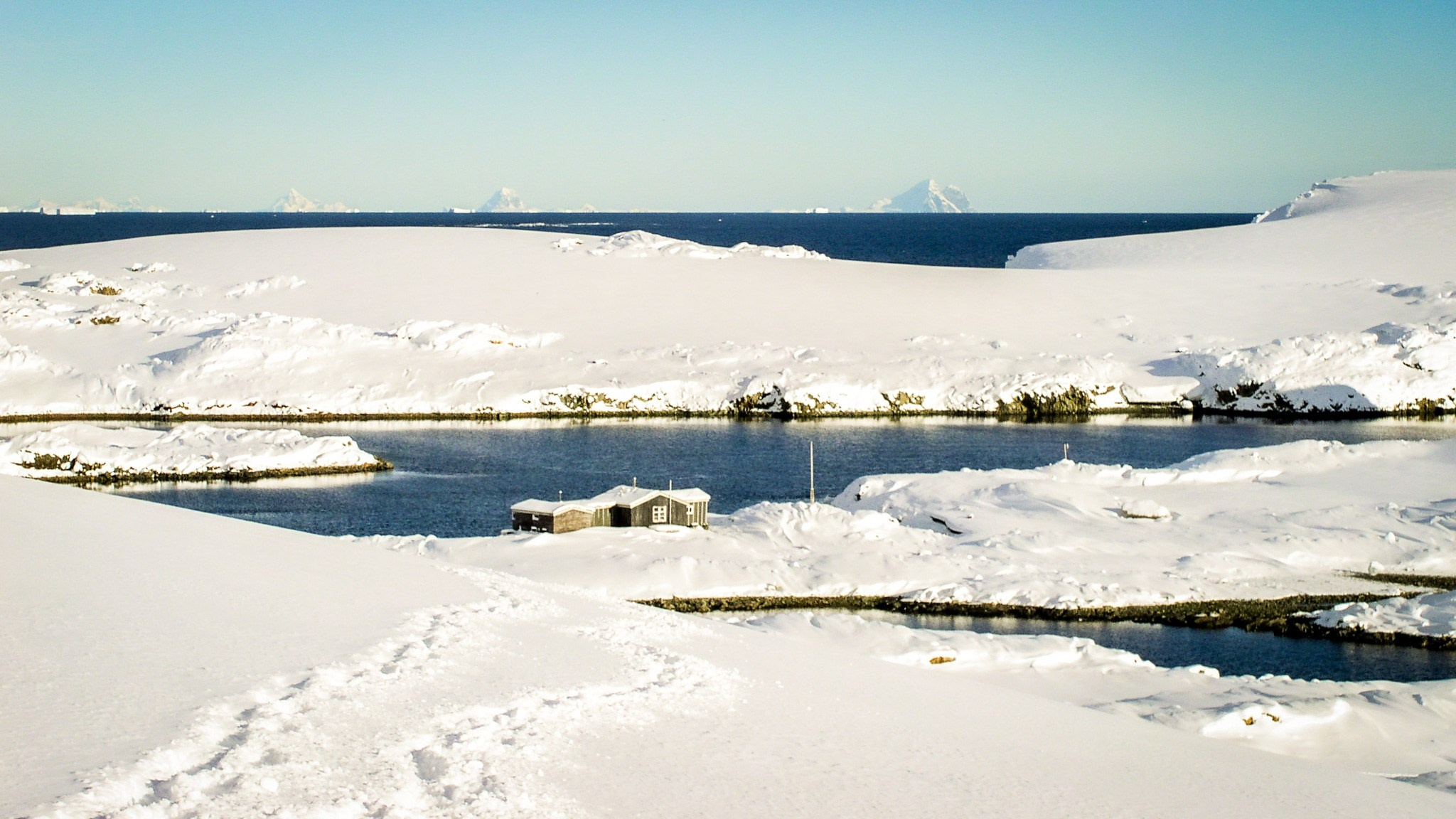 ANTARCTICA / 2004. Reportage concert portrait photography in the San Francisco Bay Area