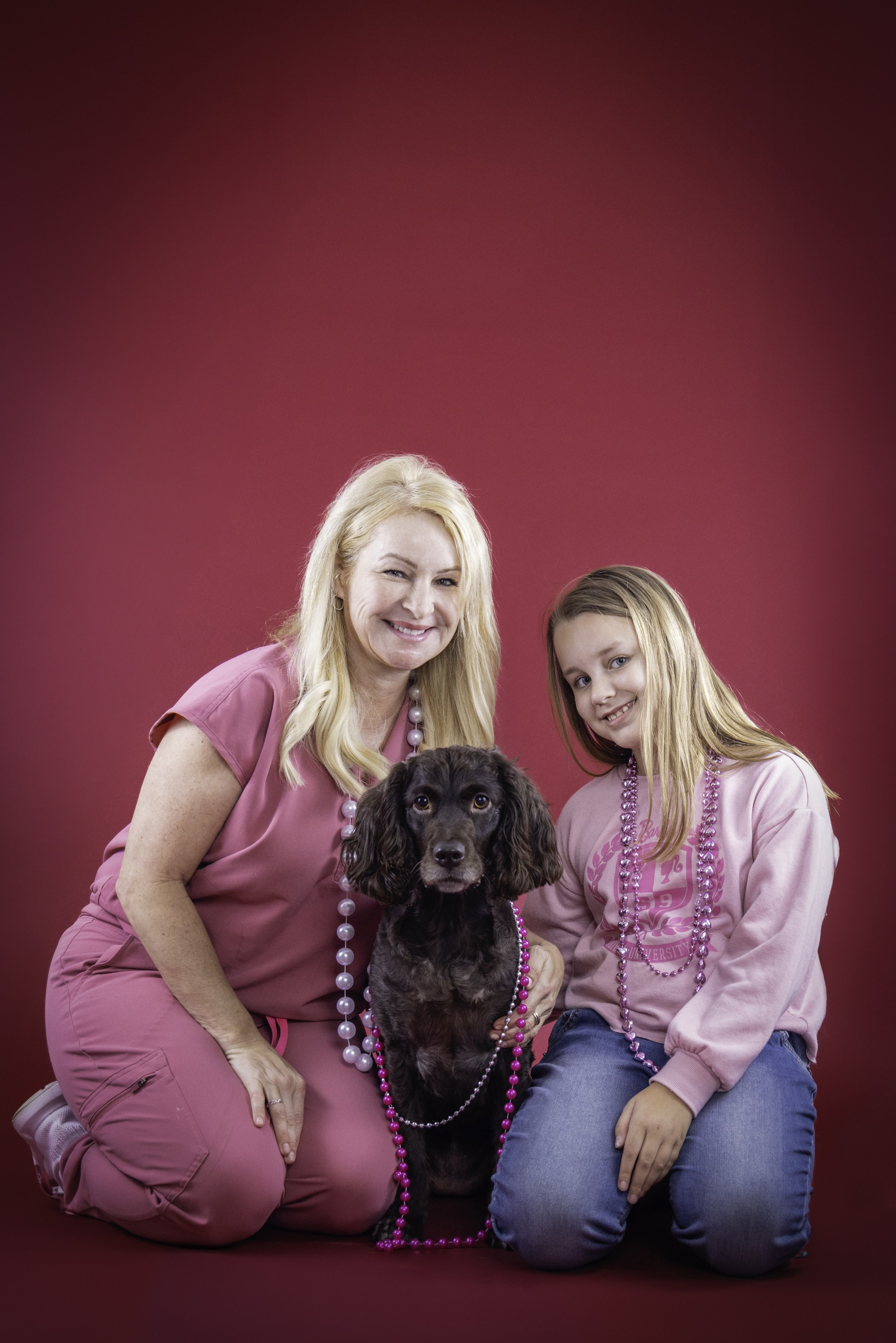 Animal de Compagnie. Studioplaza8