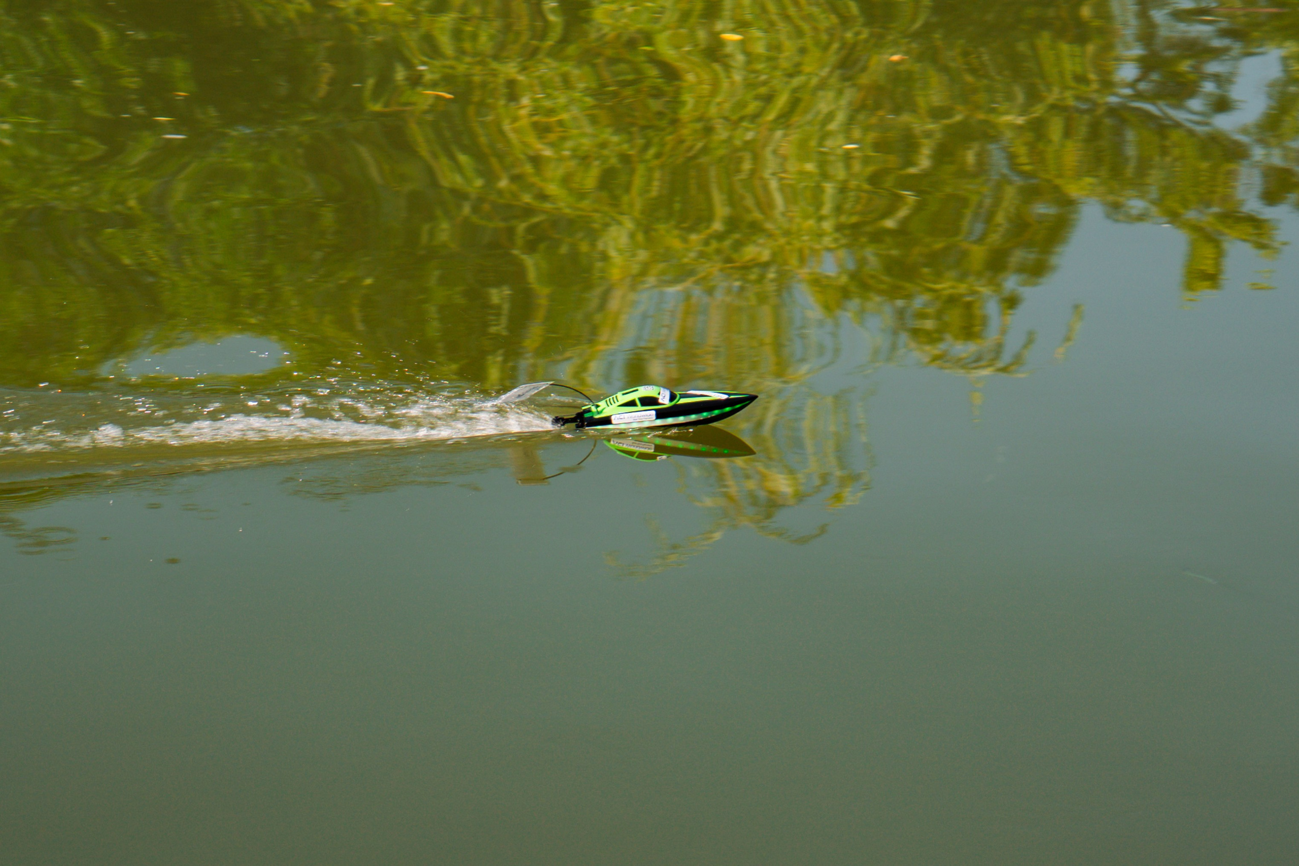 06.04 Bega Boat Race. Cozac Cristian Photographer