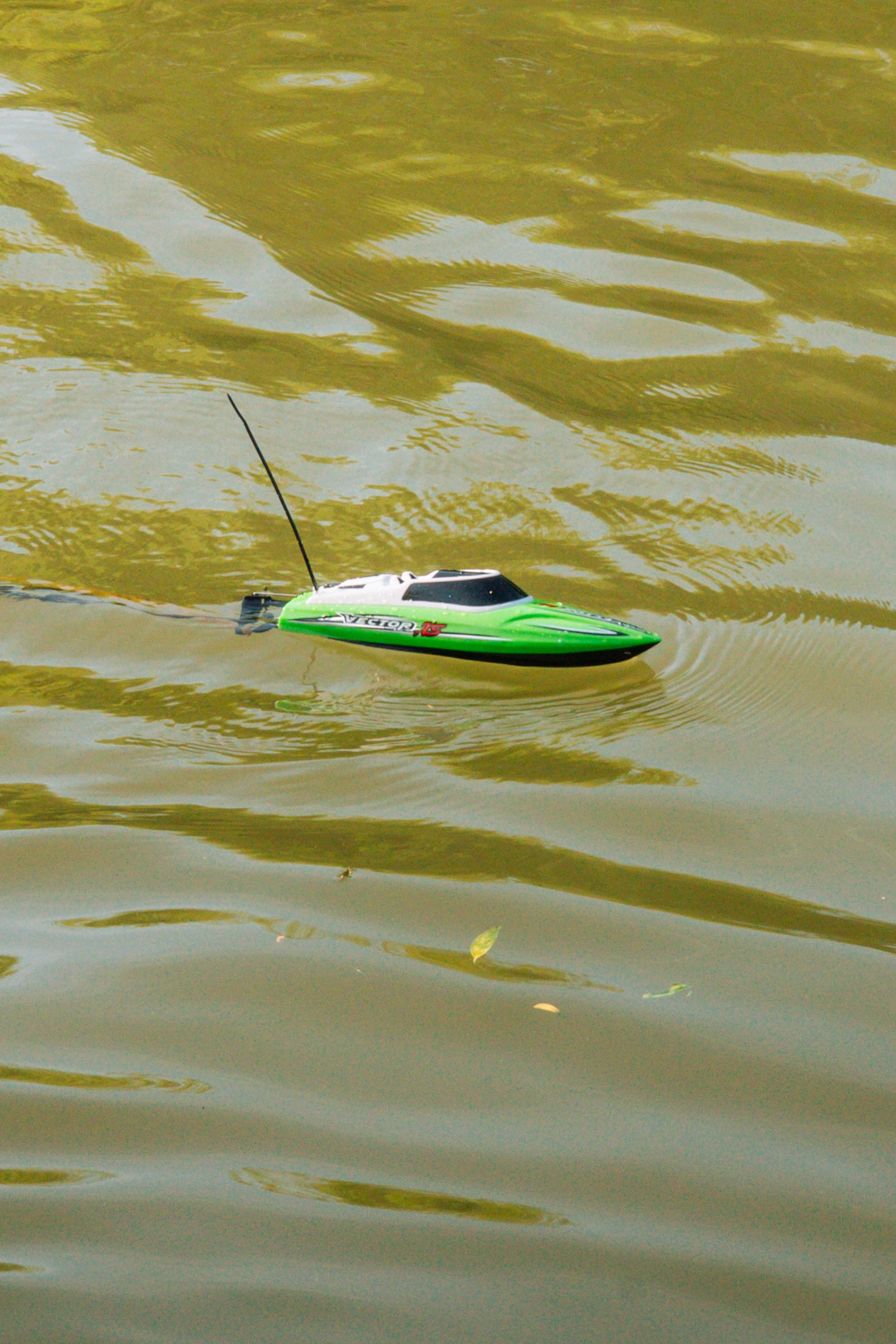 06.04 Bega Boat Race. Cozac Cristian Photographer