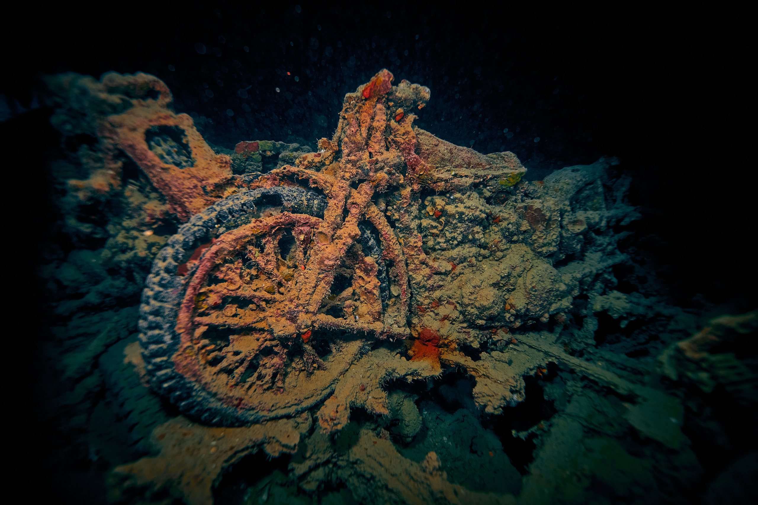 Underwater photographer Andriej Szypilow - photos of the mysterious SS Thistlegorm - sunken ship in the red sea