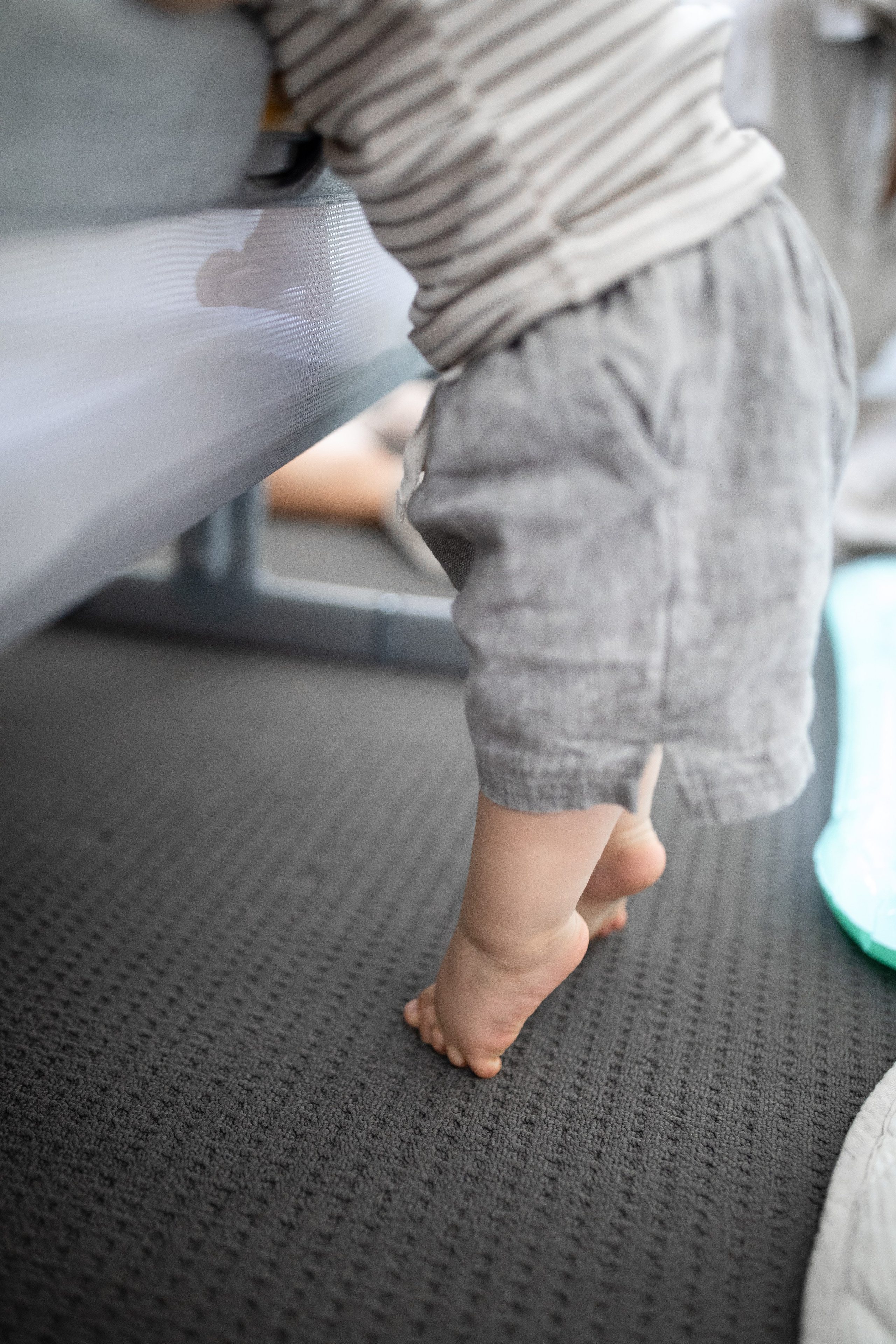 Photos from different family photoshoots