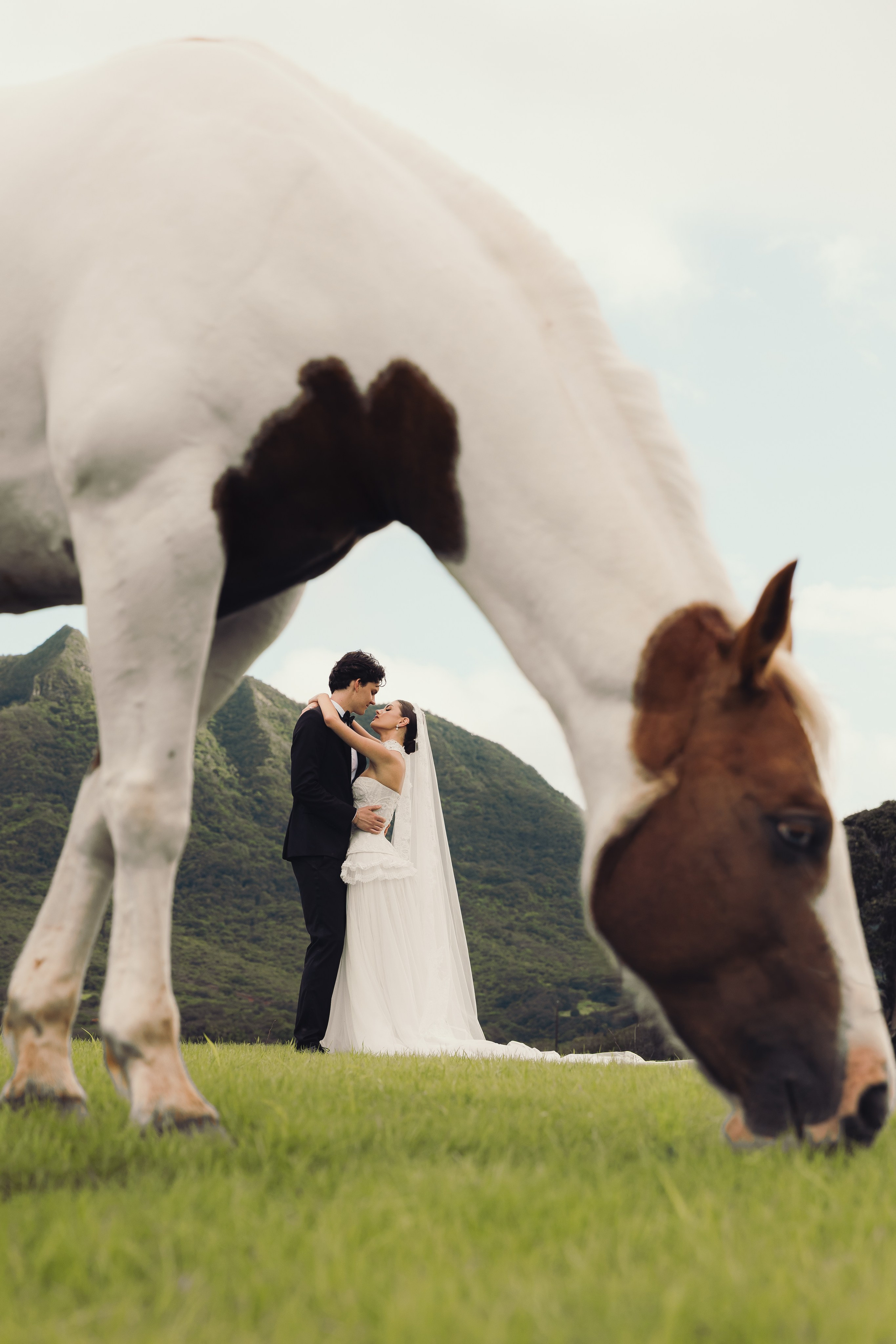 New England & Destination Photographer | Weddings, Elopements, Brands & Portraits