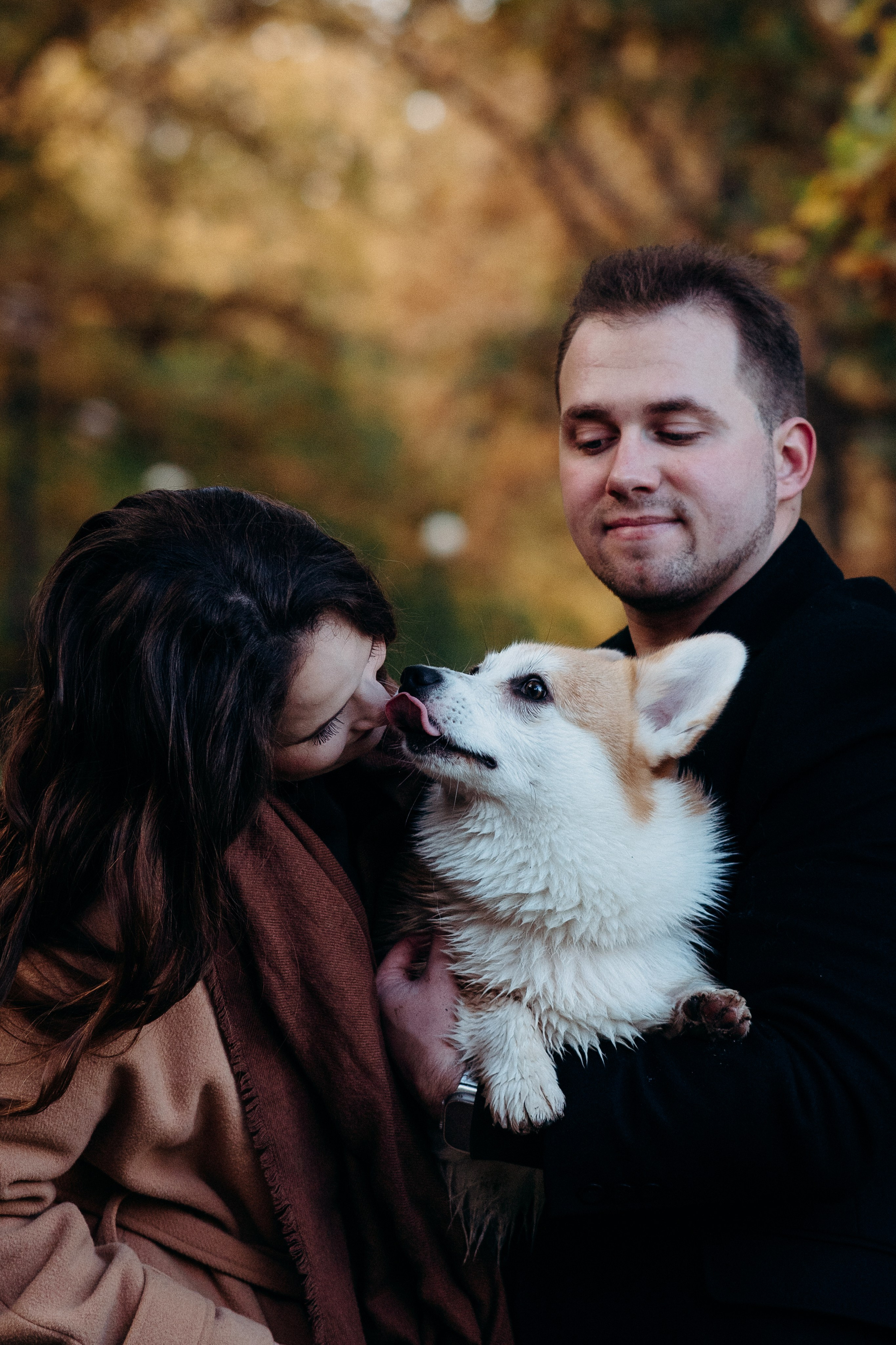 Liisa, Alexander & Marsel. Фотограф-анималист в Таллинне, Катя Лайсаар