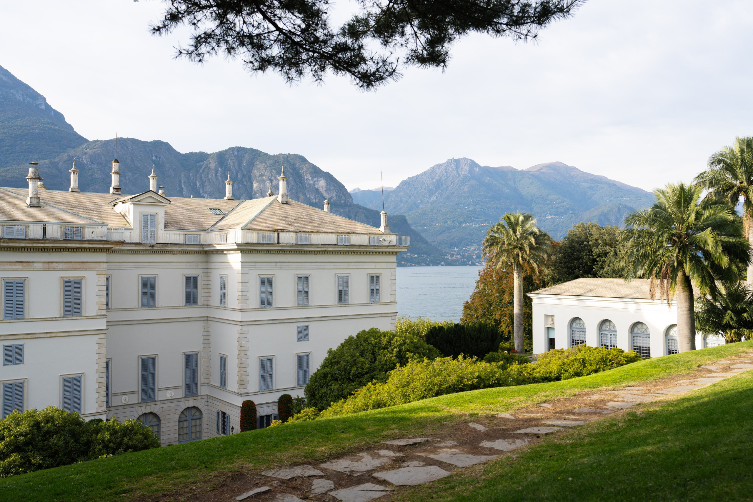 Cosmin & Anamaria. Studio Timis