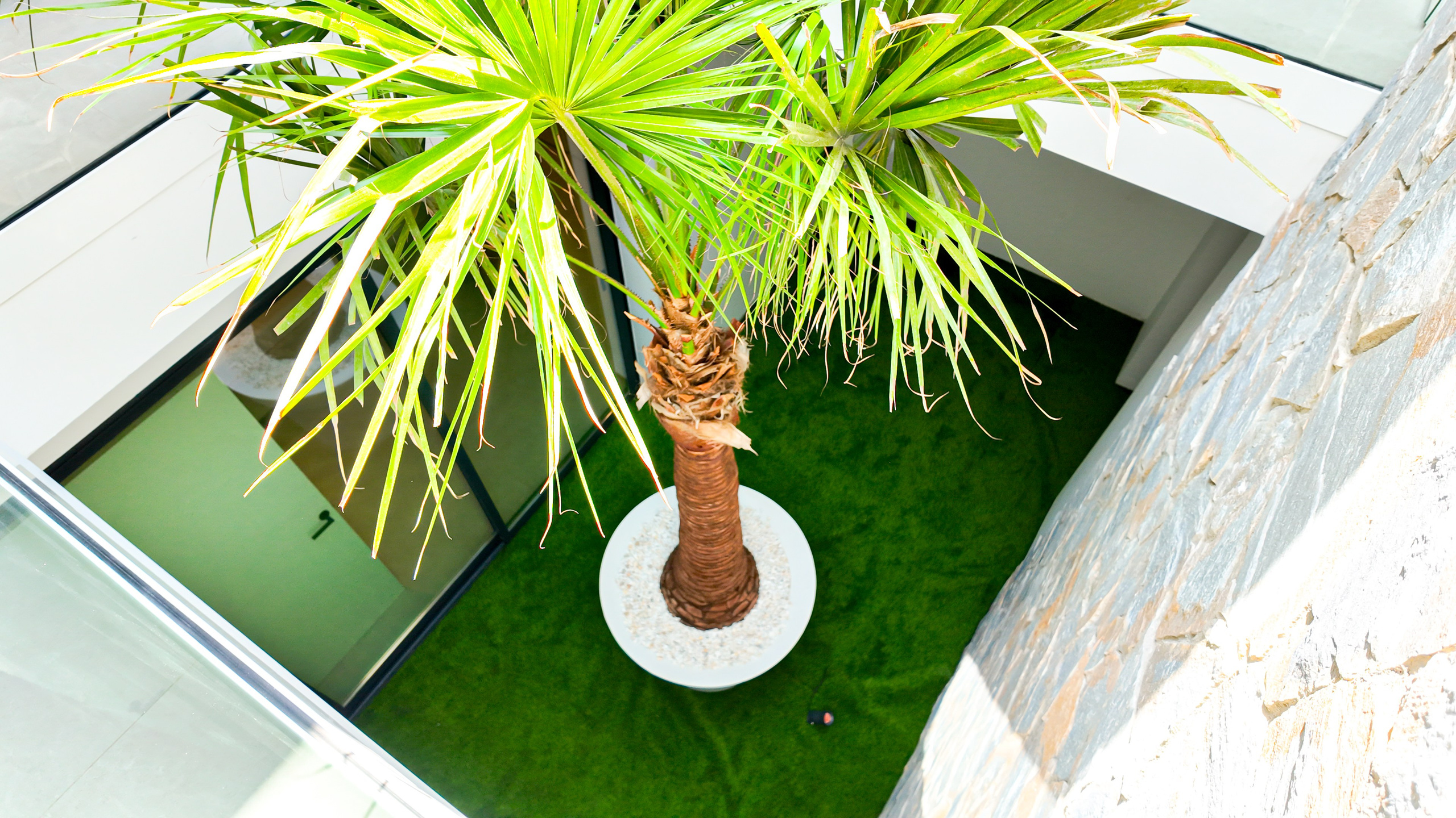 Villa PALMERA I’M GROUP. Baby Beast