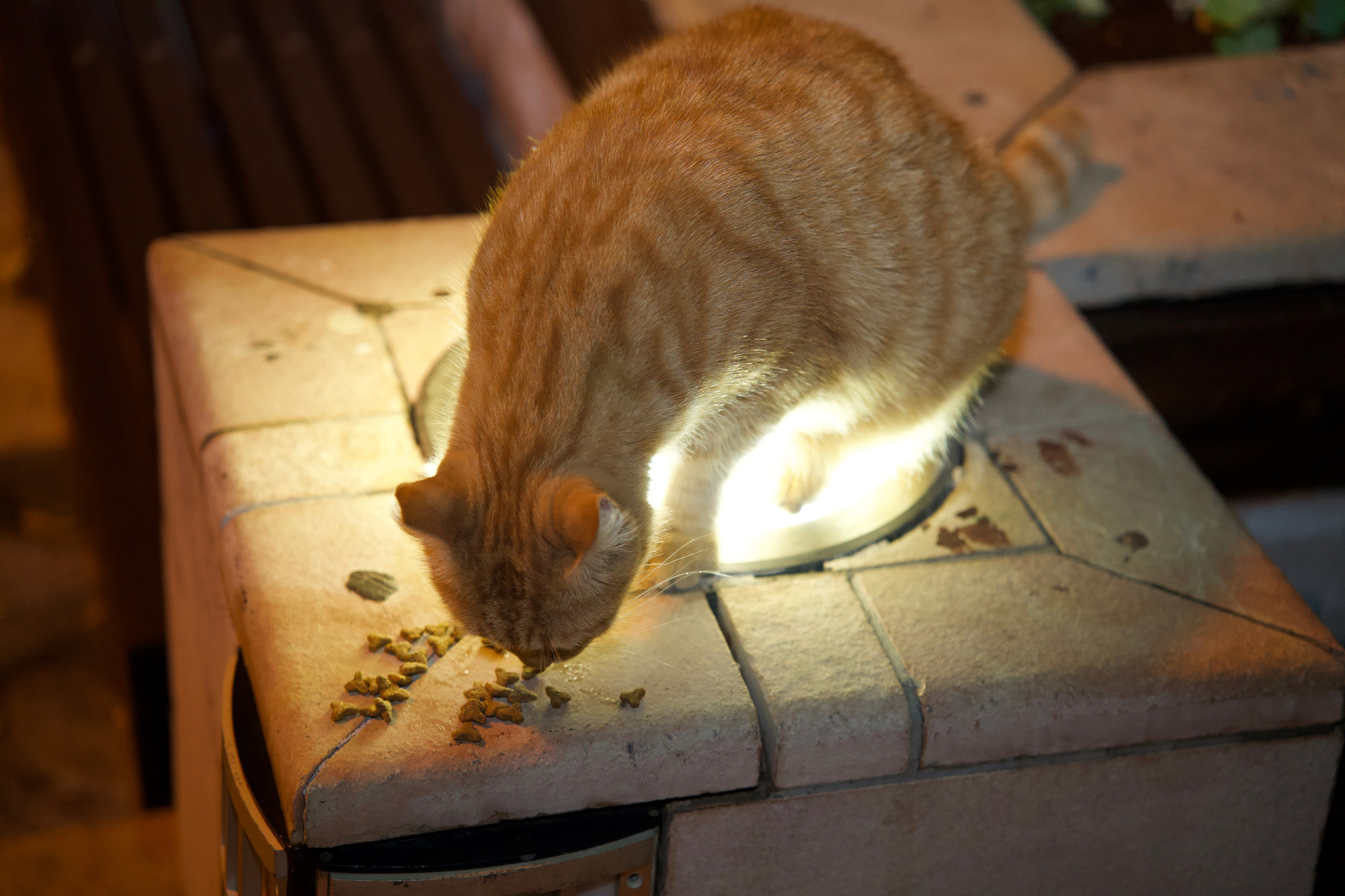 Everything from everything