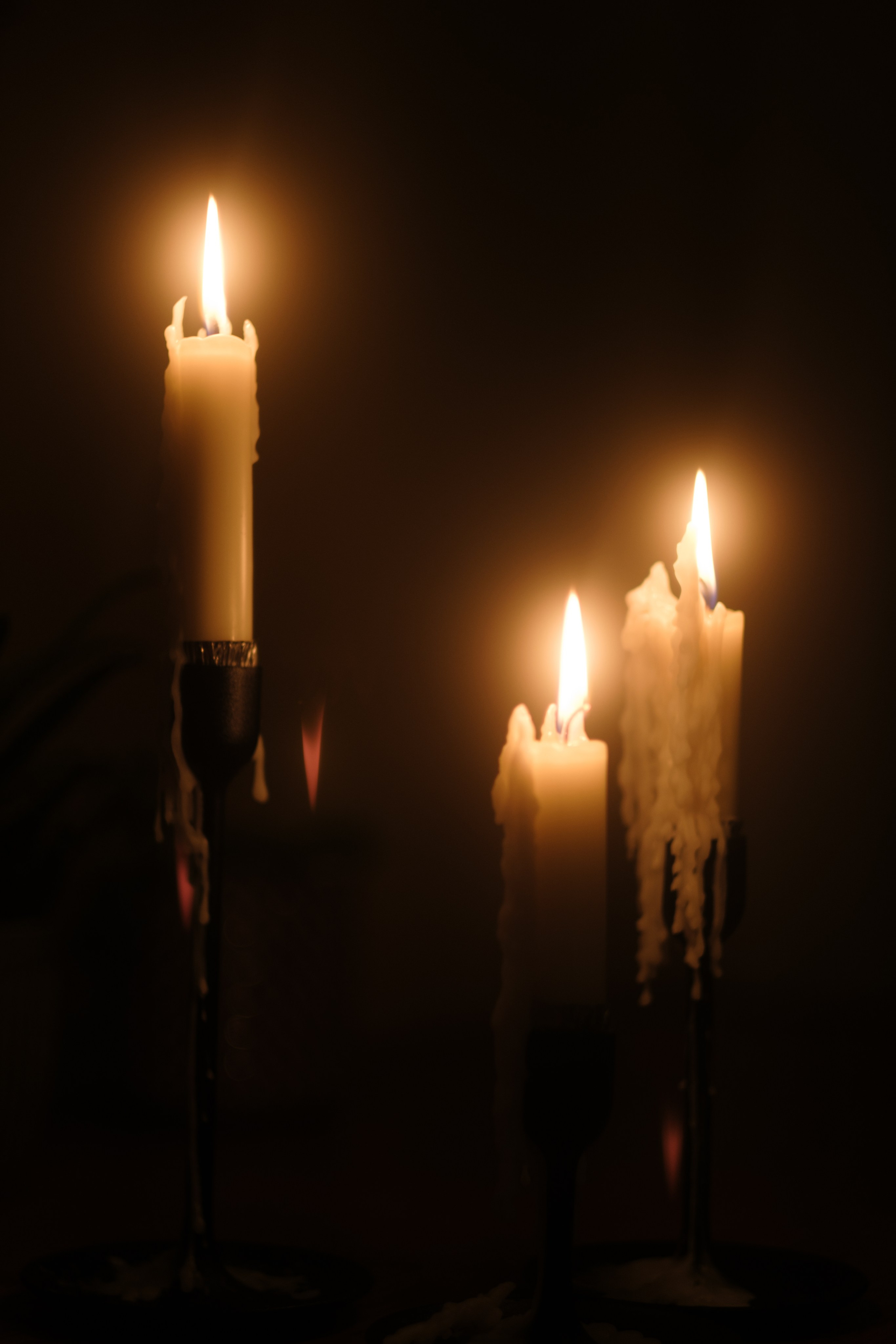 Flo & Men. Rotterdam. Paola fotógrafo / videografo de bodas en Barcelona