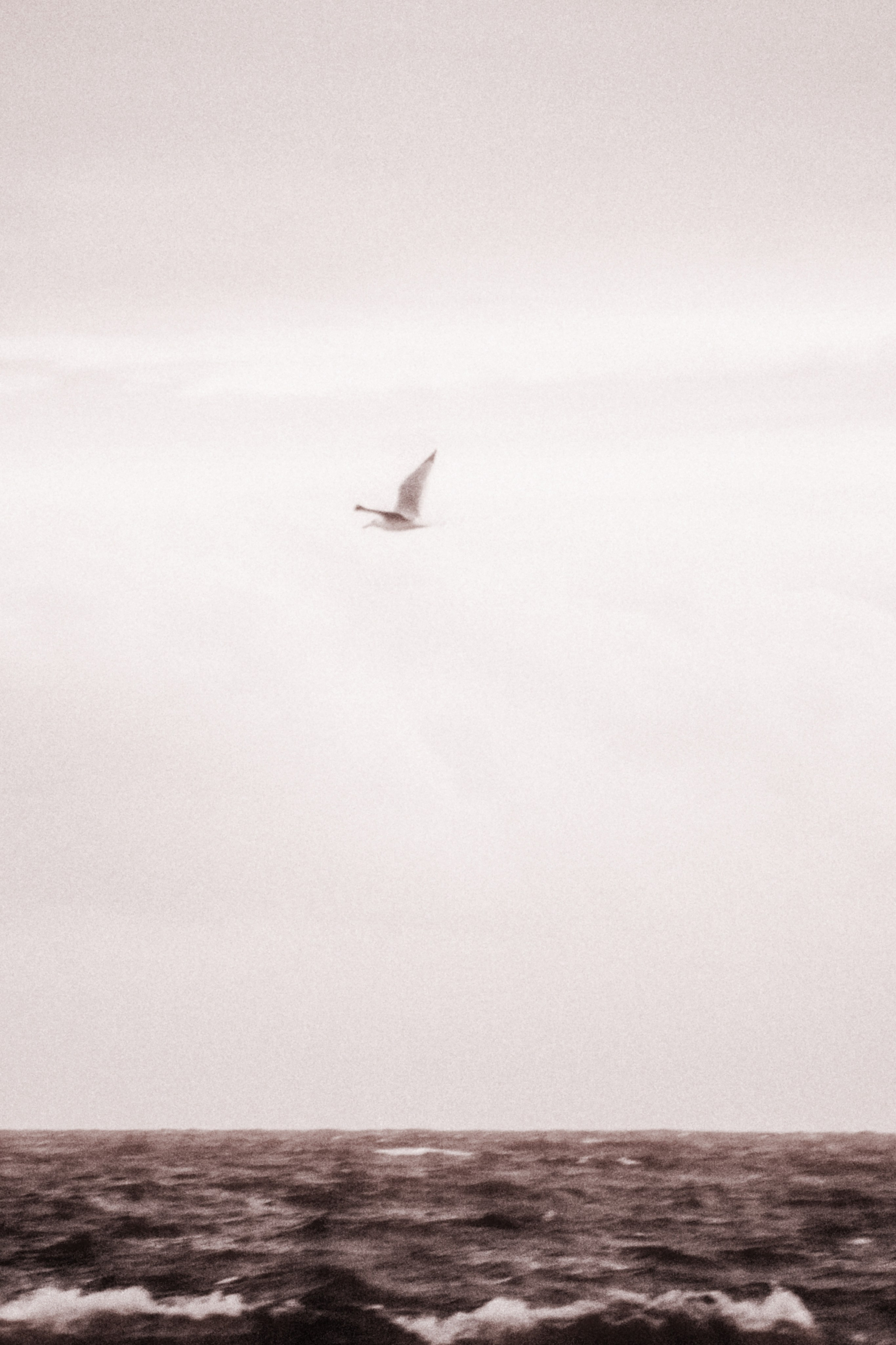 La Coudoulière, Saint Mandrier. Photographe à la Seyne sur Mer, Var