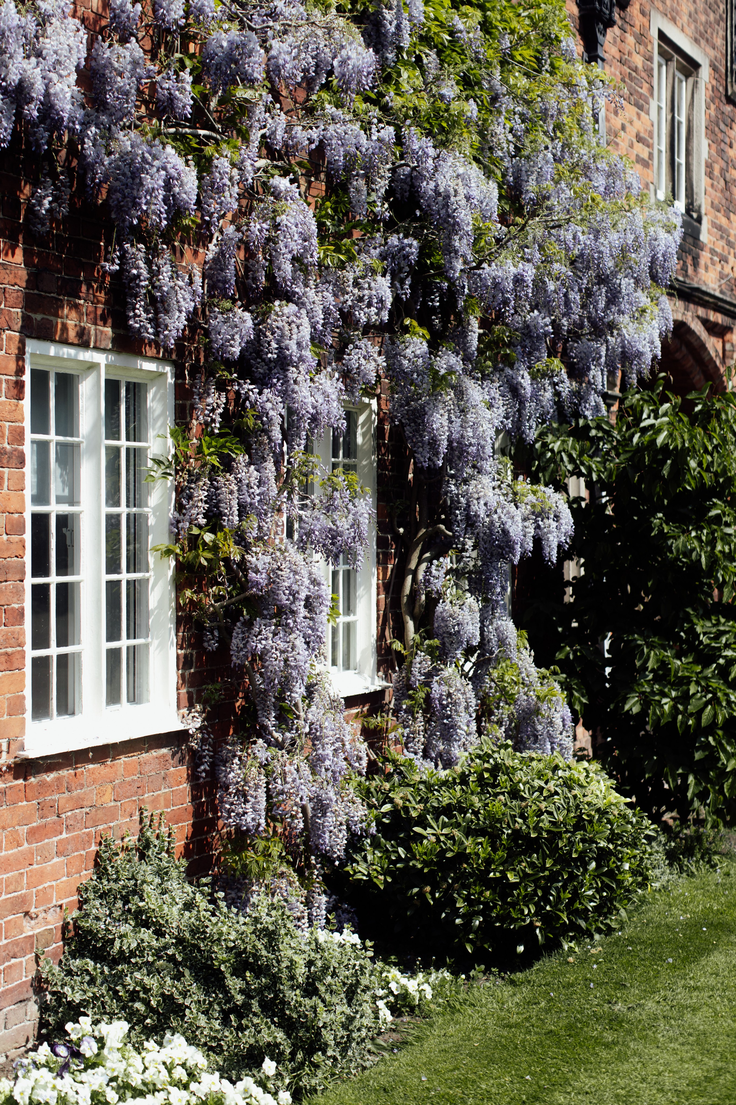 Arley Hall & Gardens, Northwich. 2025. Timeless Wedding & Events Photography. Based in London, working across Europe