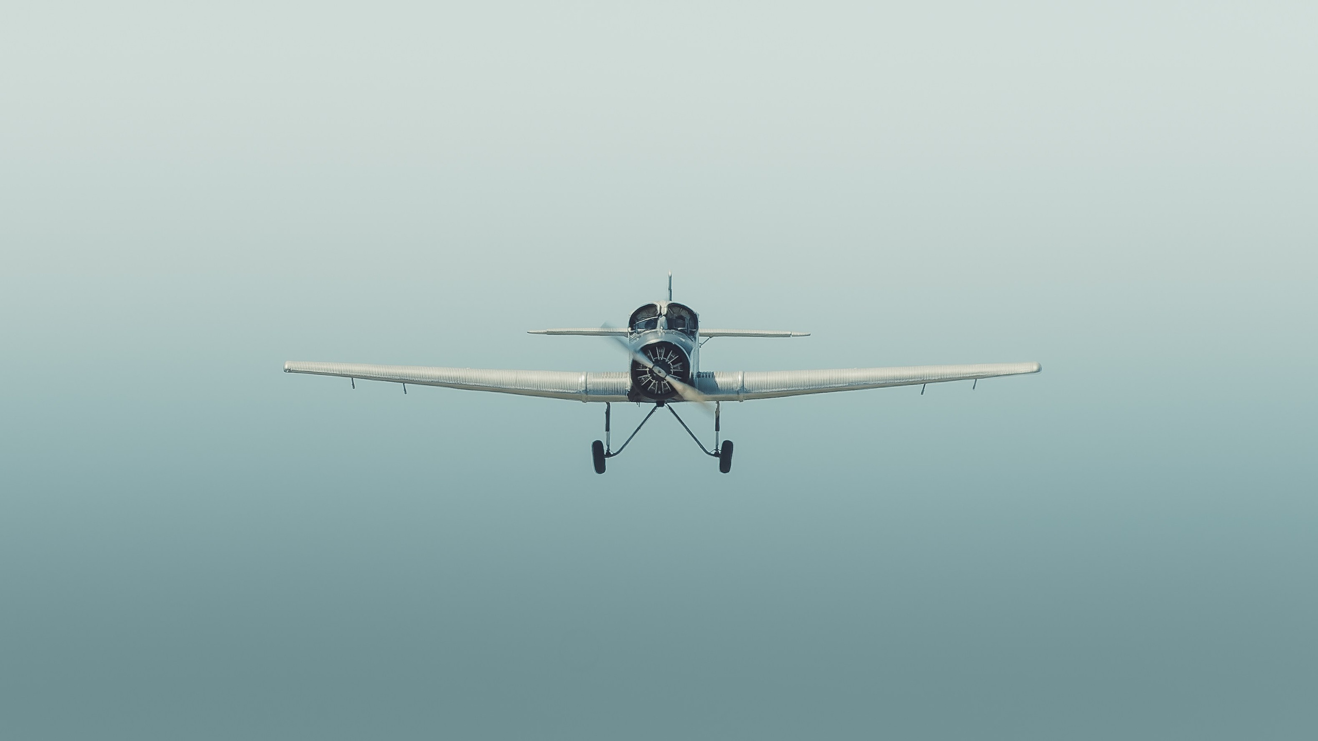 Wings and Friends · Grenchen 2026. Lutsenko Visuals — Photography & Visual Content