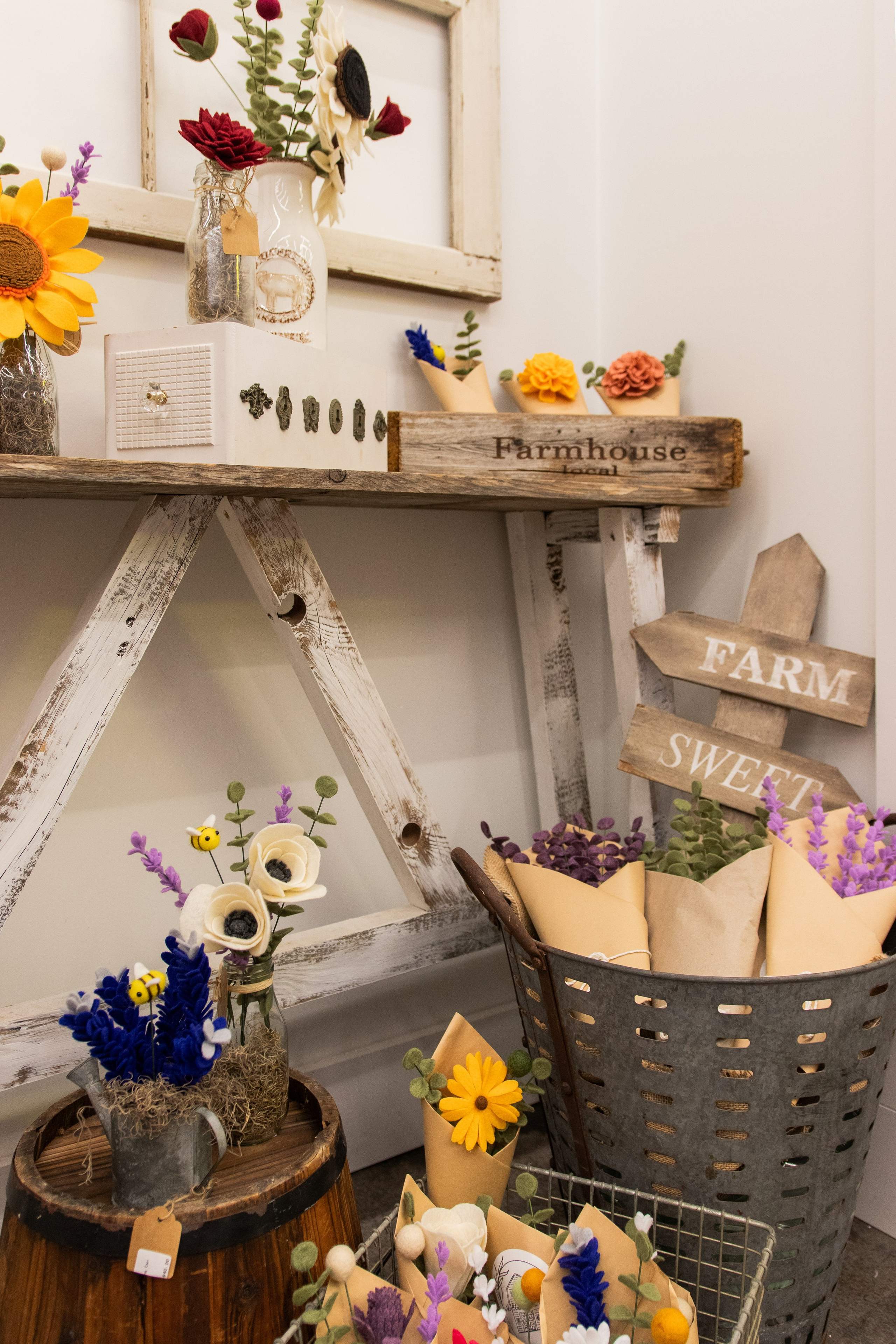 Painted Tree Boutiques fall collection retail photoshoot in Round Rock