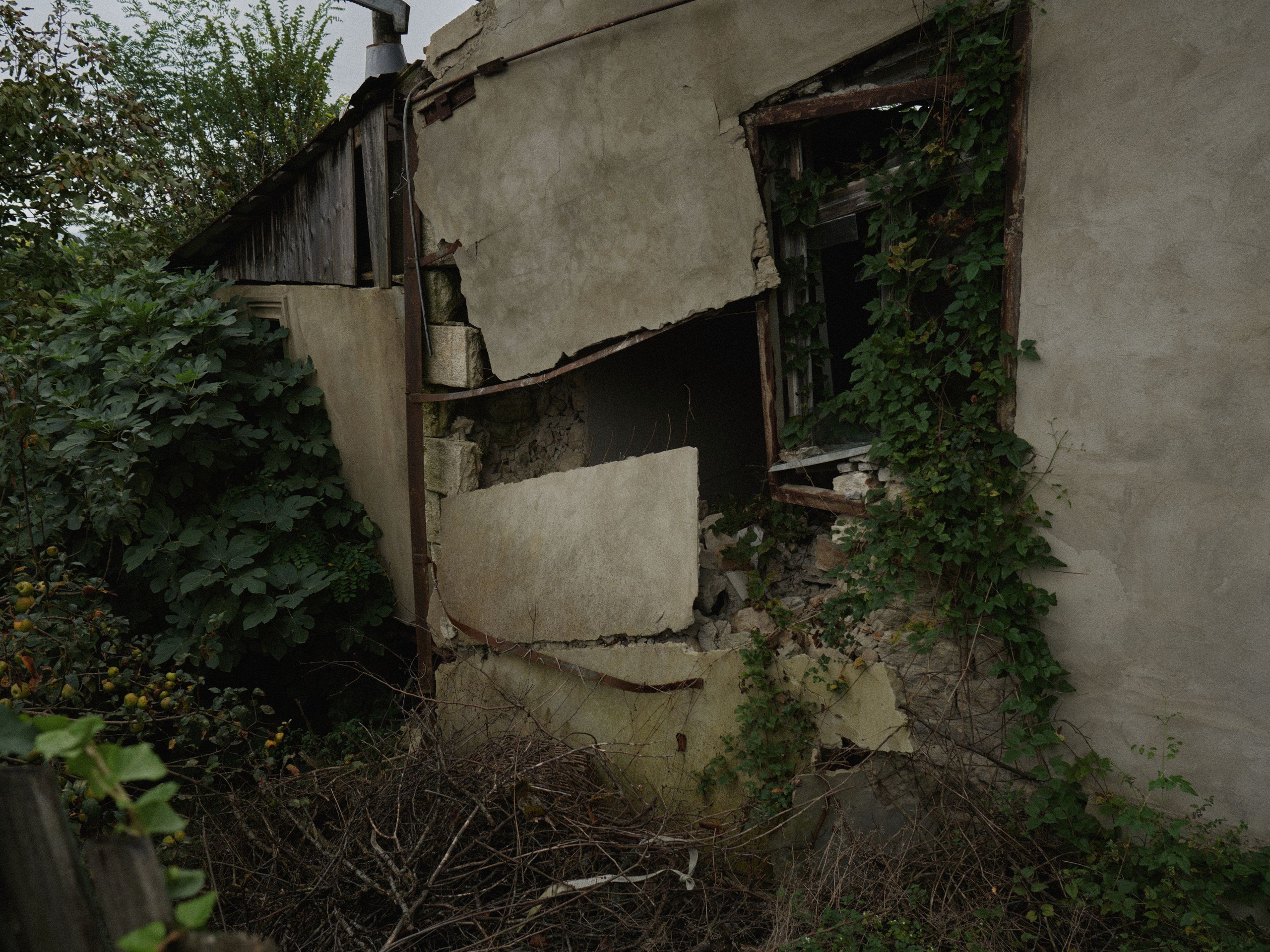 Scars of Shukruti. Egor Borie