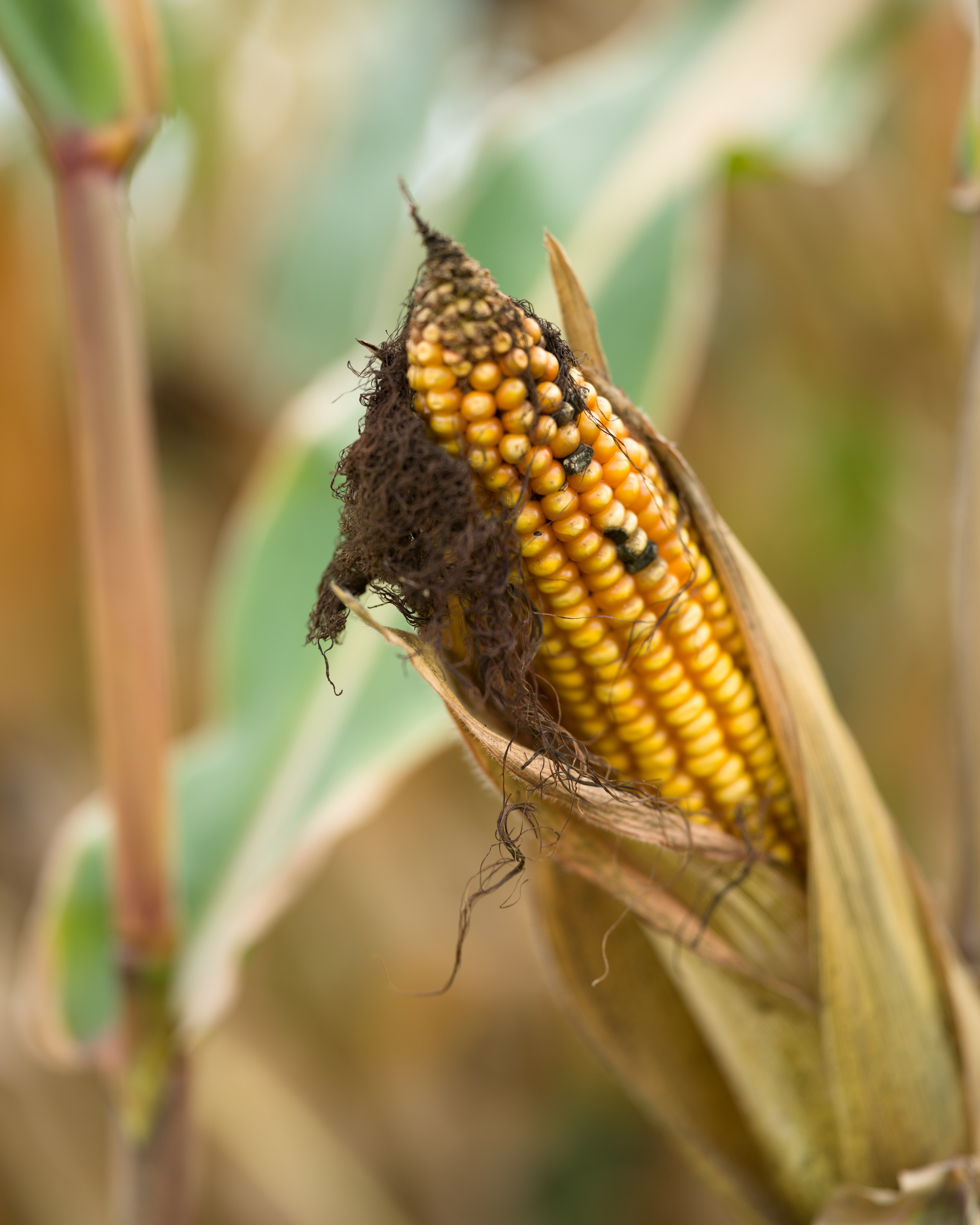 Travel. Visual artist | Fotograf | Stuttgart