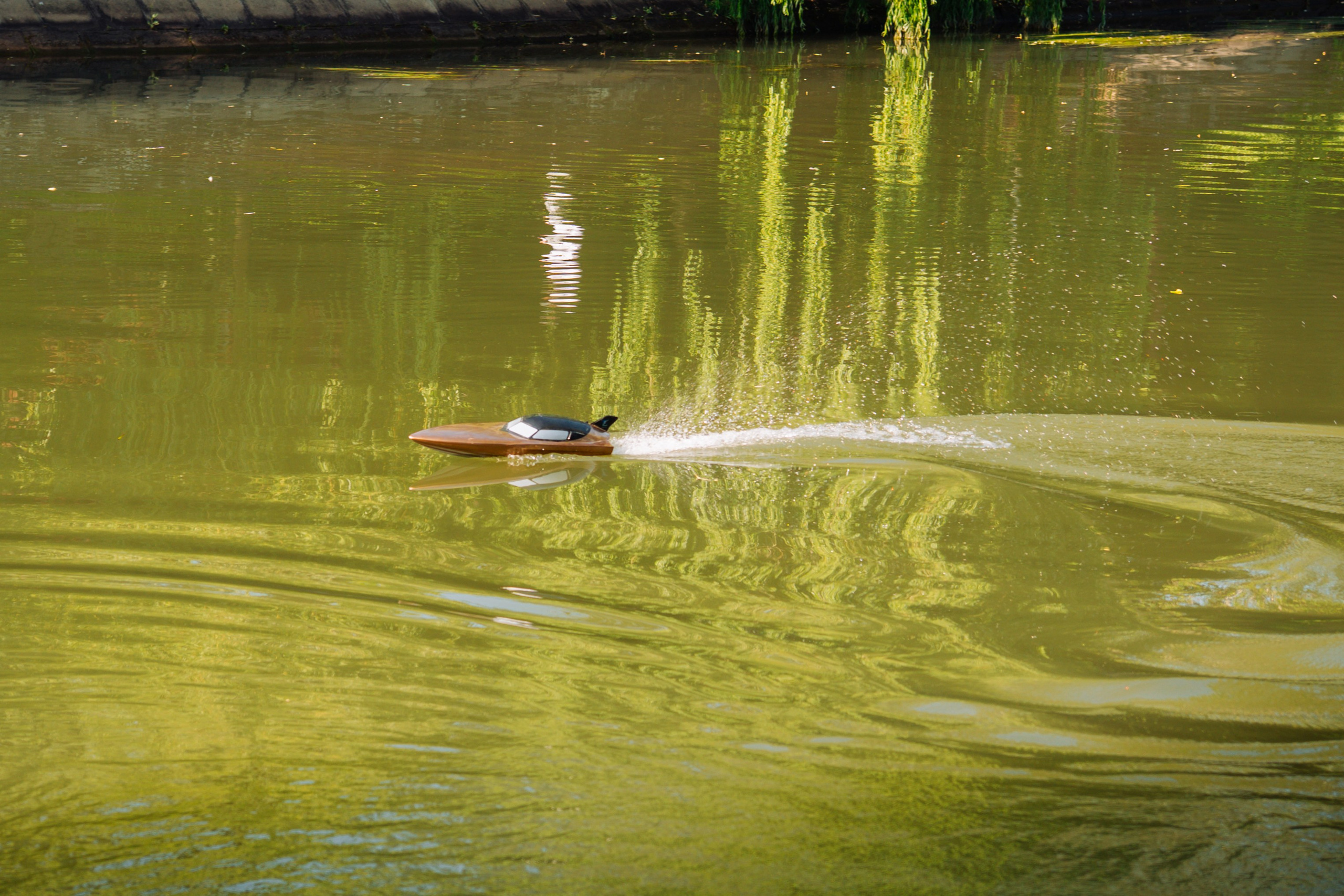 06.04 Bega Boat Race. Cozac Cristian Photographer