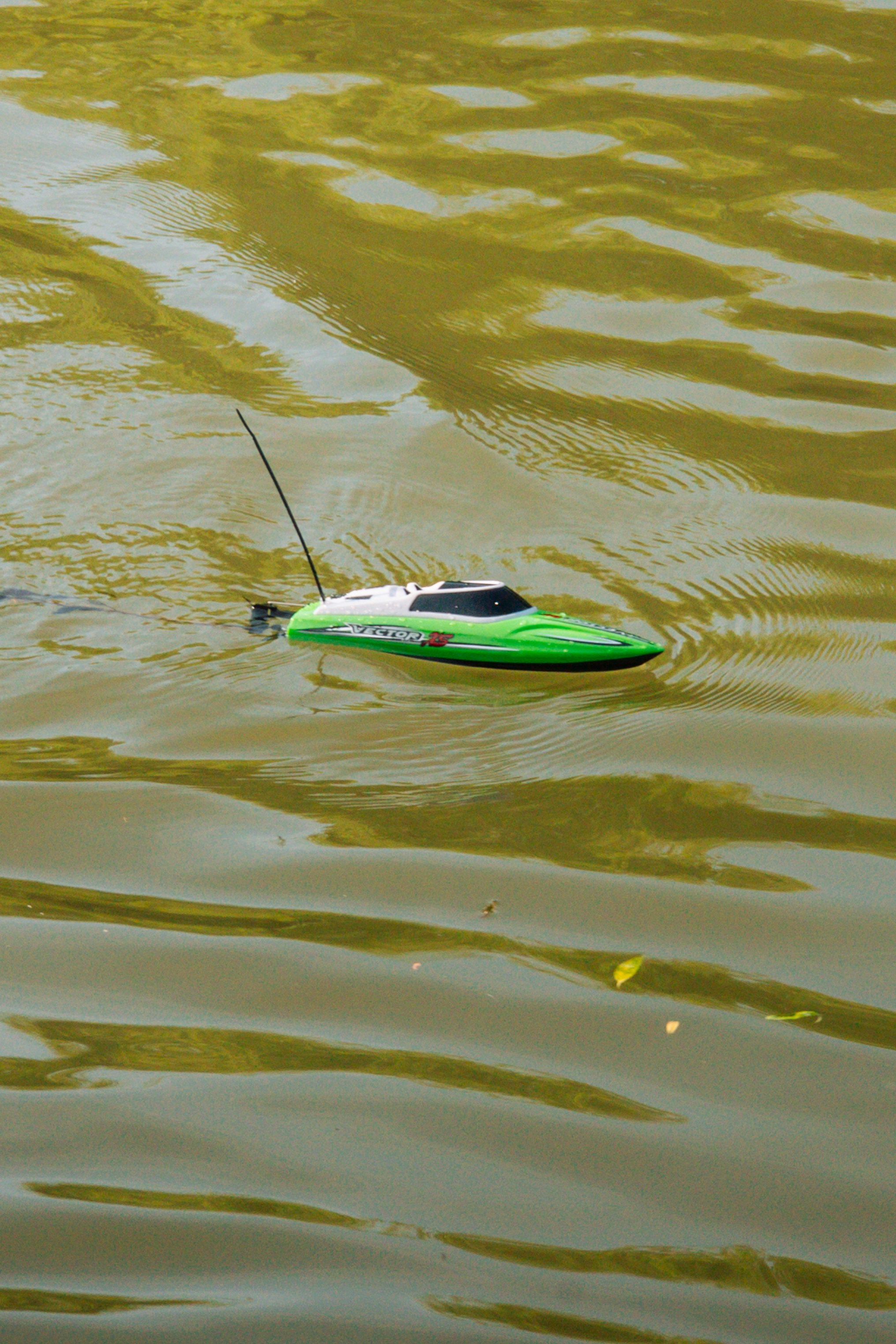 06.04 Bega Boat Race. Cozac Cristian Photographer