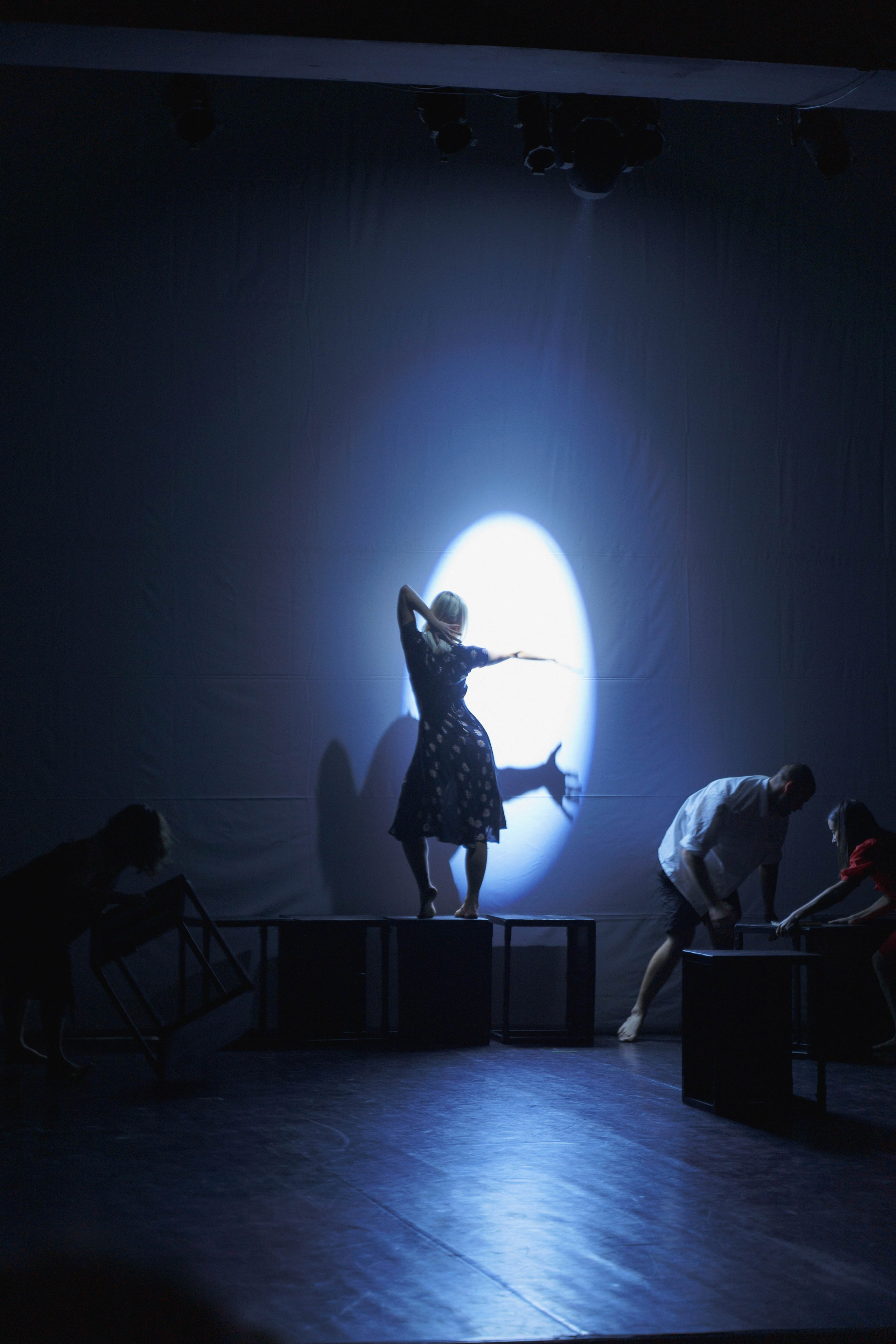 Modern theatre. Žukov Studio