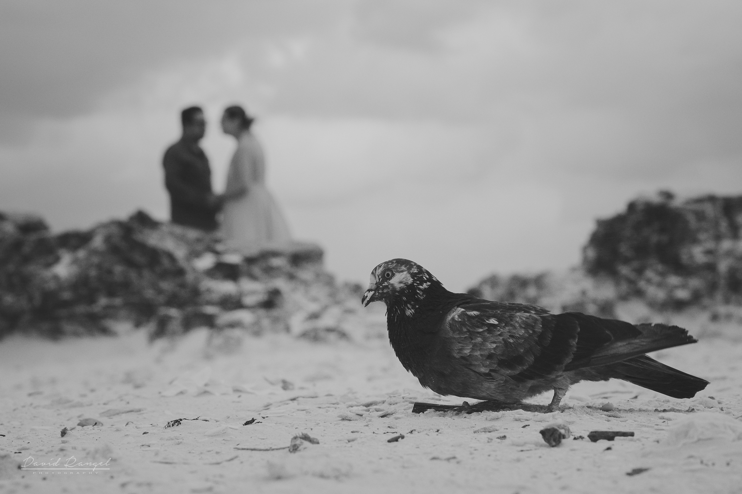 Adan & Moni — Engagement — Playa Forum Cancun. Destination wedding photographer based in Cancun and Riviera Maya with service worldwide