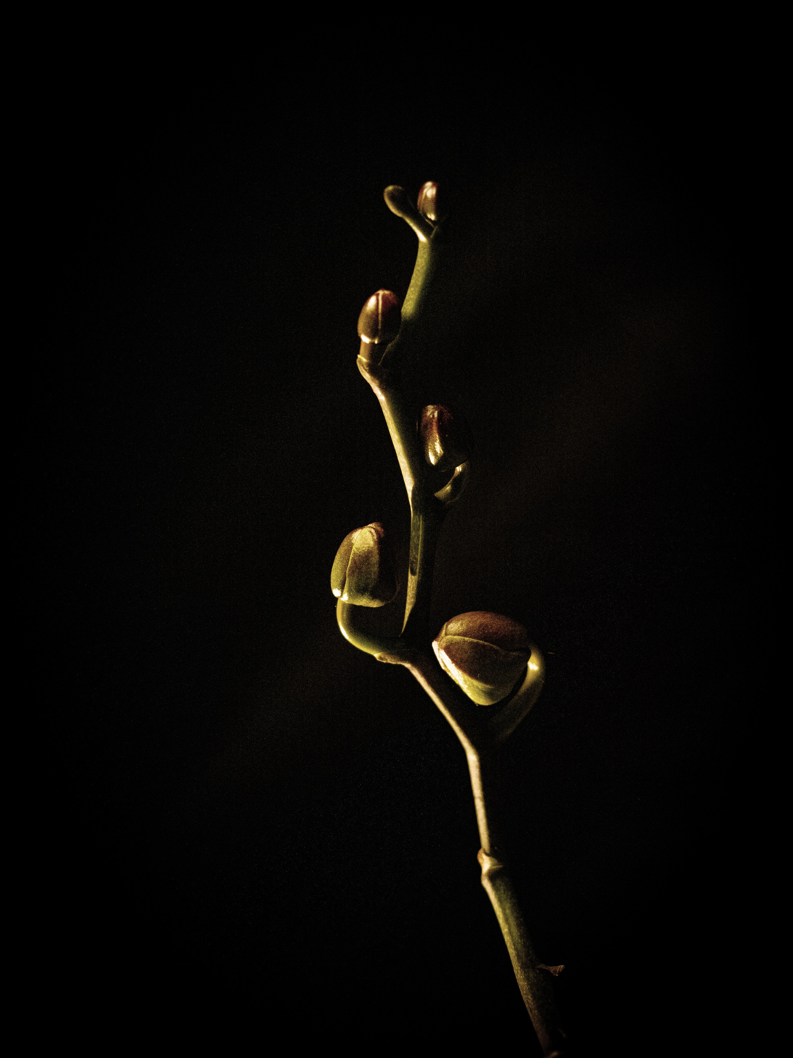 Art photographer Miami