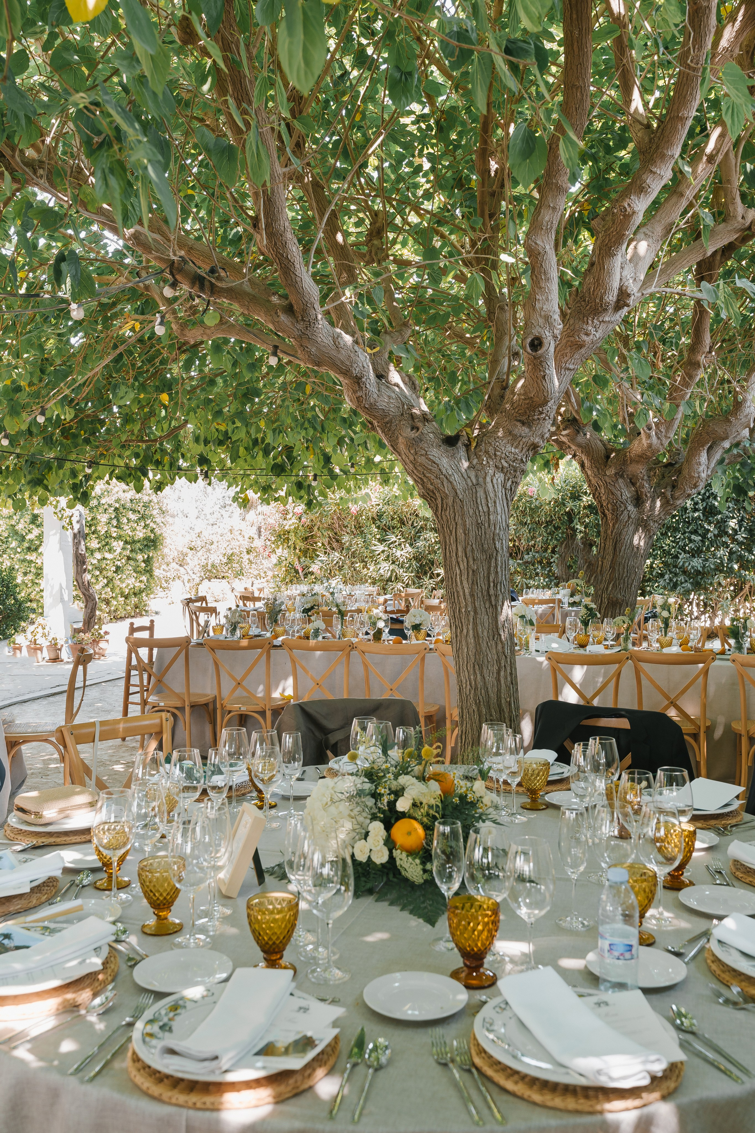 M & N. Fotógrafa de bodas y familias en España, Valencia: Nadia ProFoto