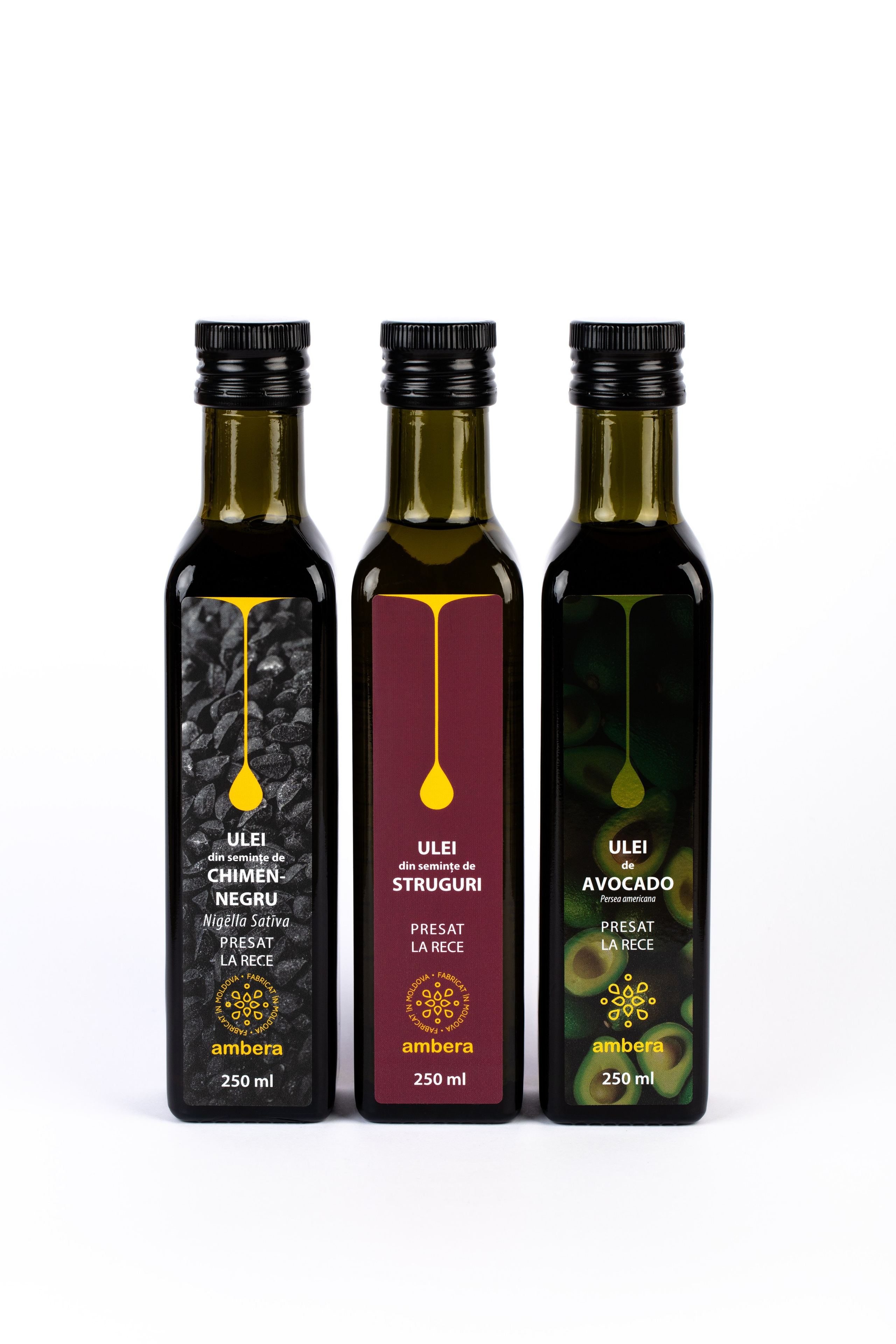 Catalog. Fotograf și Videograf | Chișinău, Moldova