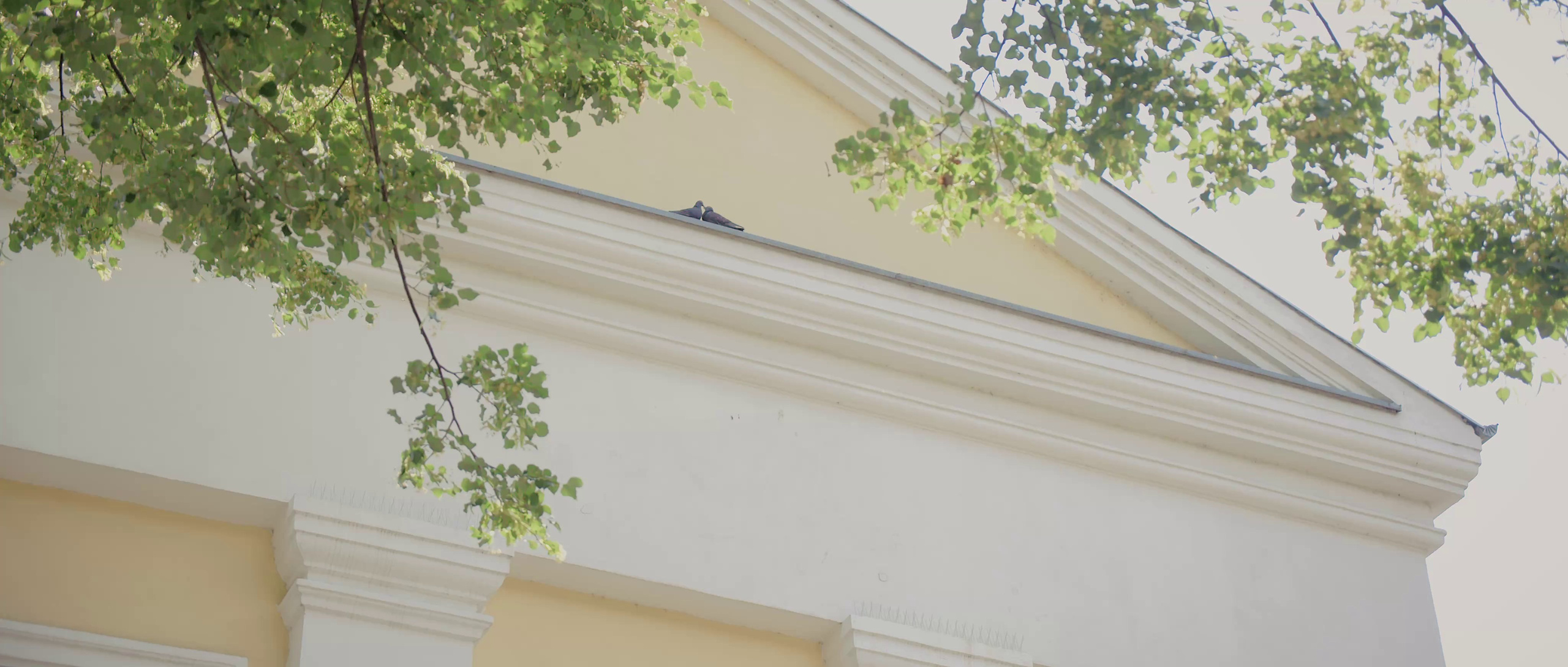 Nicoleta si Radu – o nunta cu rafinament si emotie