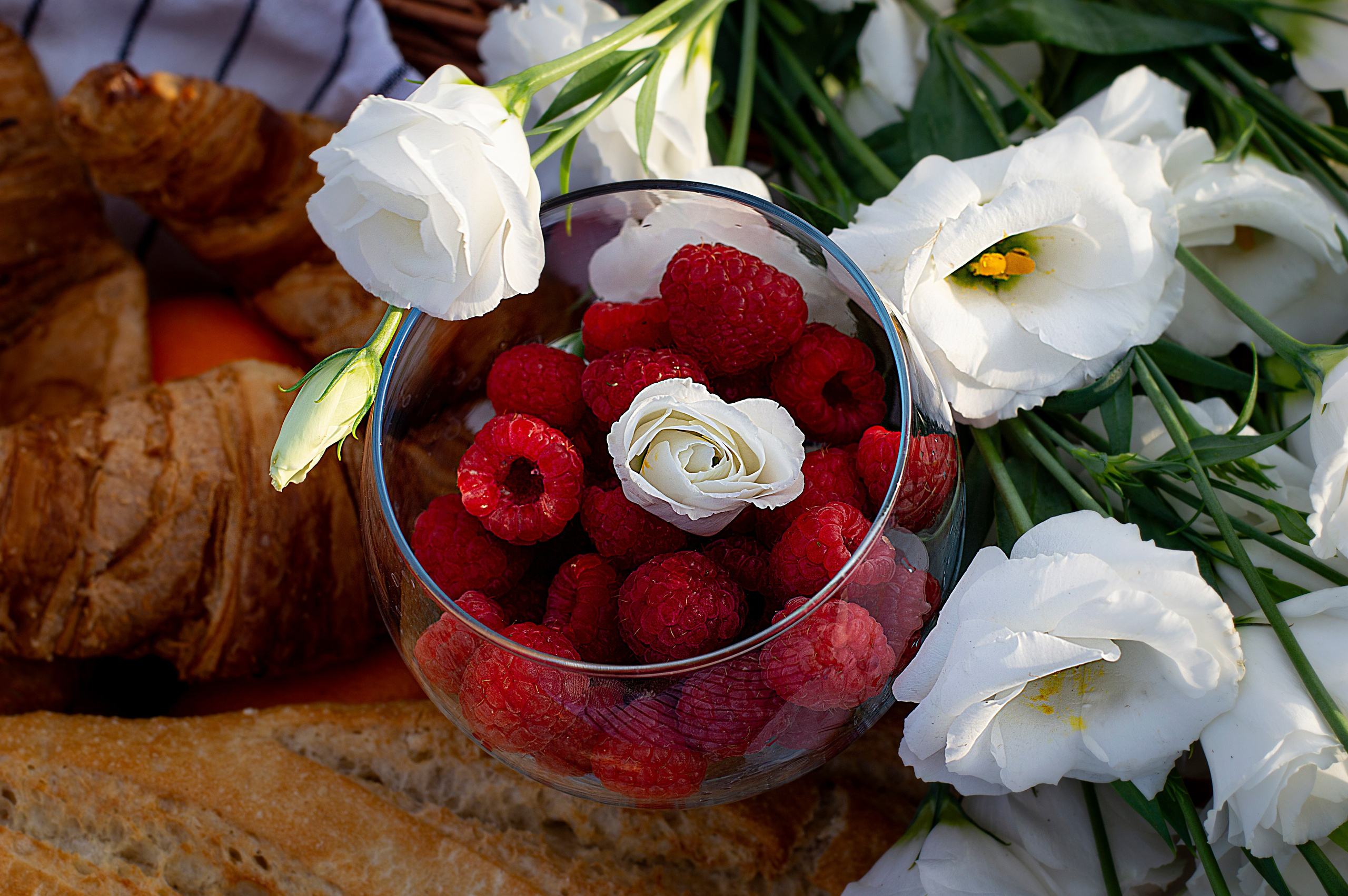 Пикник. Анастасия Благова — Твой фотограф в Малаге 🇪🇸